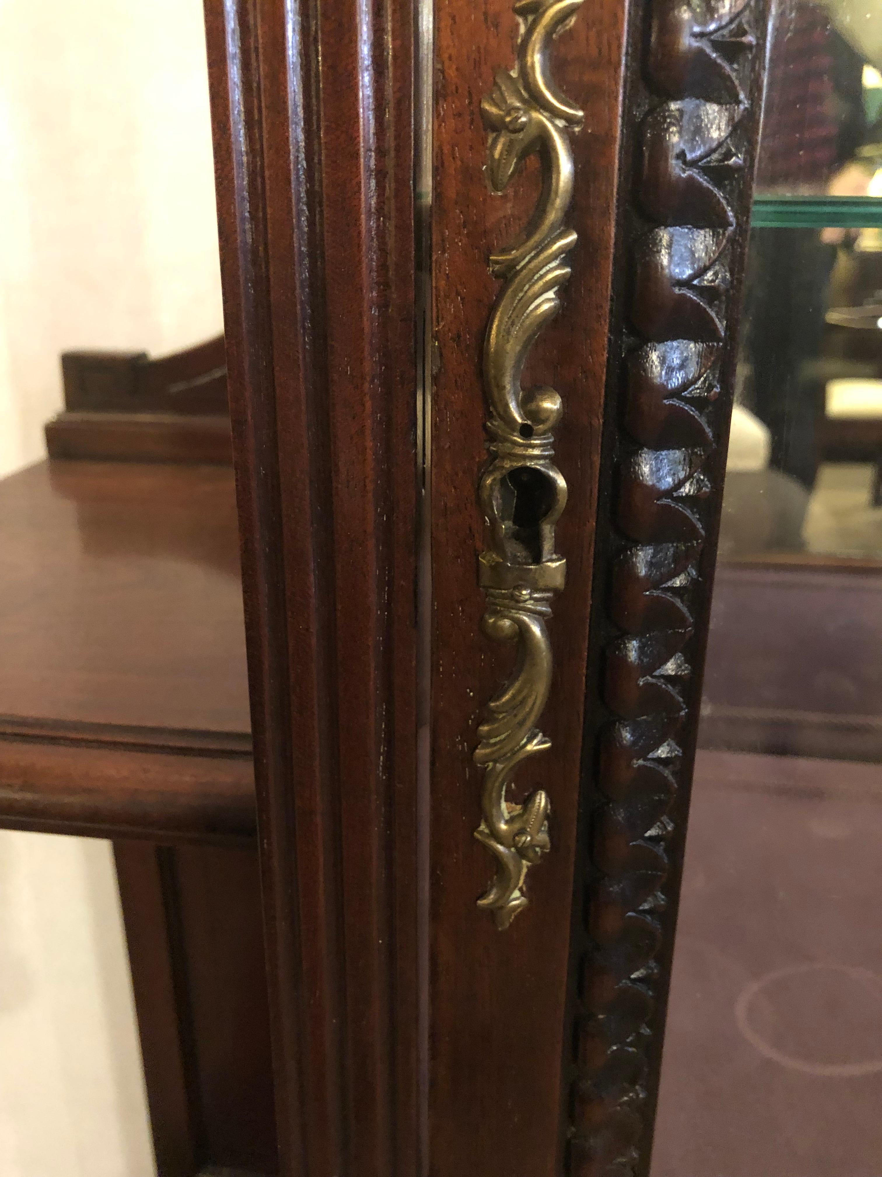 East Lake Victorian 19th Century Vitrine or Curio Cabinet / Bookcase 6