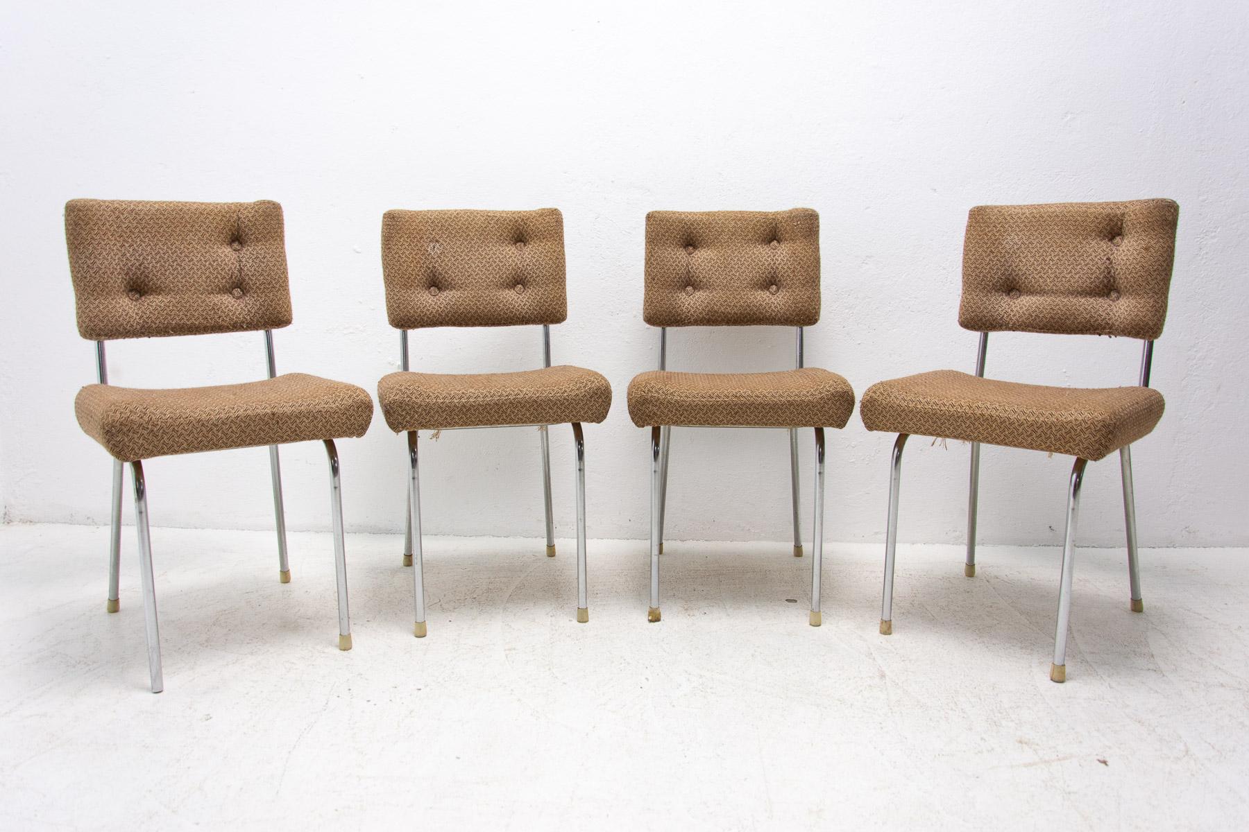 Cafe- oder Esszimmerstühle aus der Mitte des Jahrhunderts mit verchromten Beinen. Es wurde in der ehemaligen Tschechoslowakei in den 1960er Jahren hergestellt. Die Stühle sind strukturell in gutem Vintage-Zustand, die Polsterung zeigt Alters- und