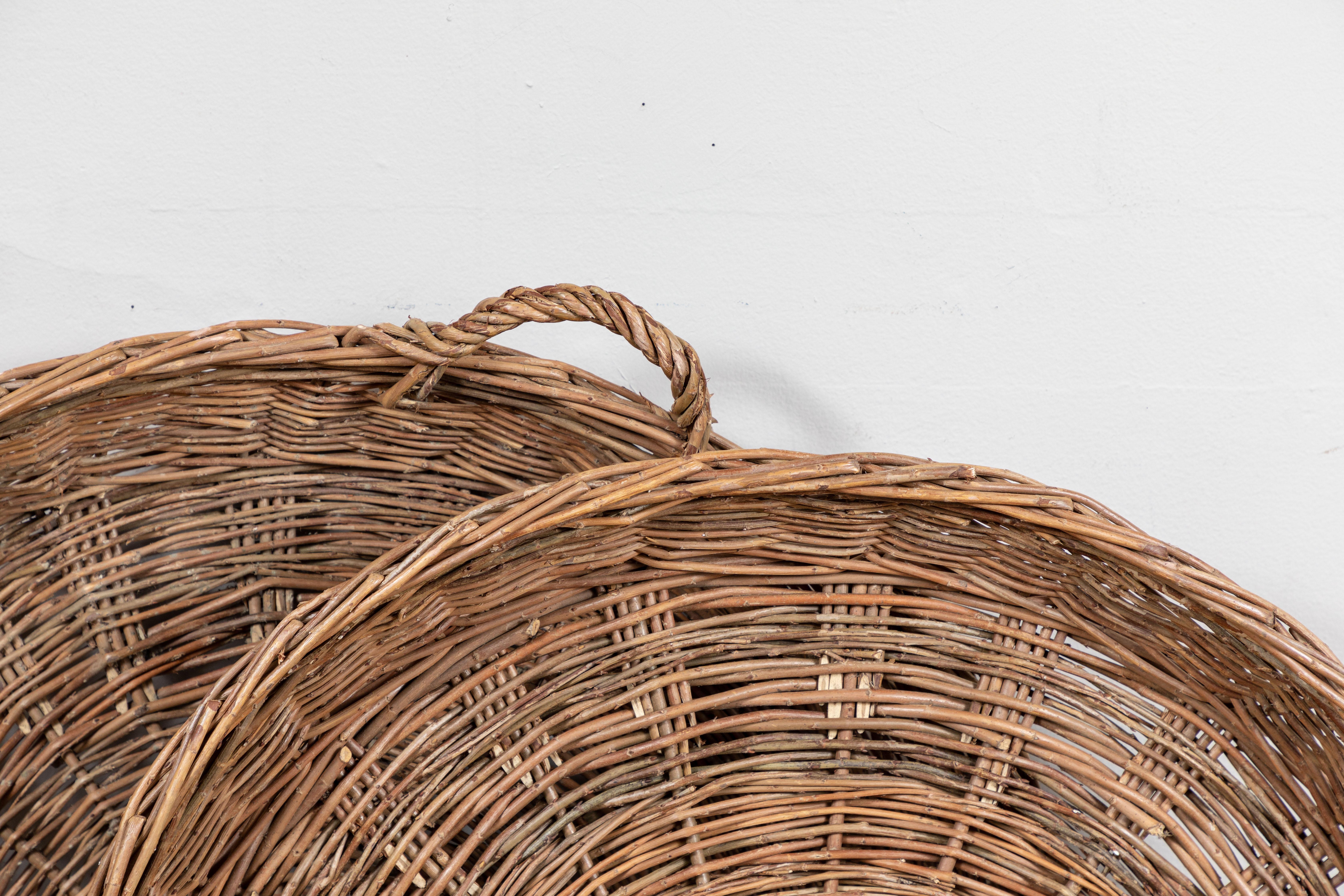Oversized, handwoven flat bottom basket for drying food - grains, fruits, etc.