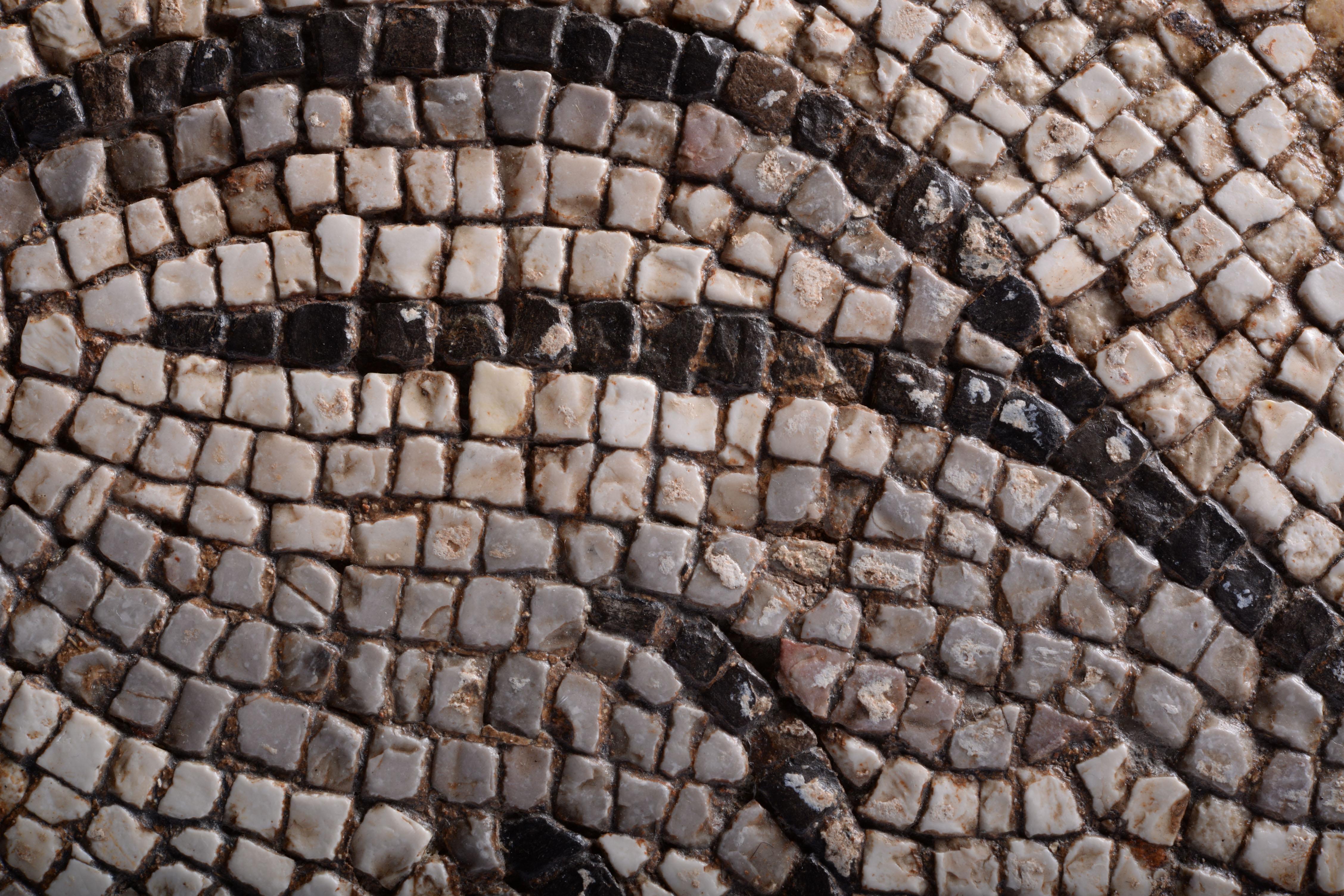 roman snake mosaic