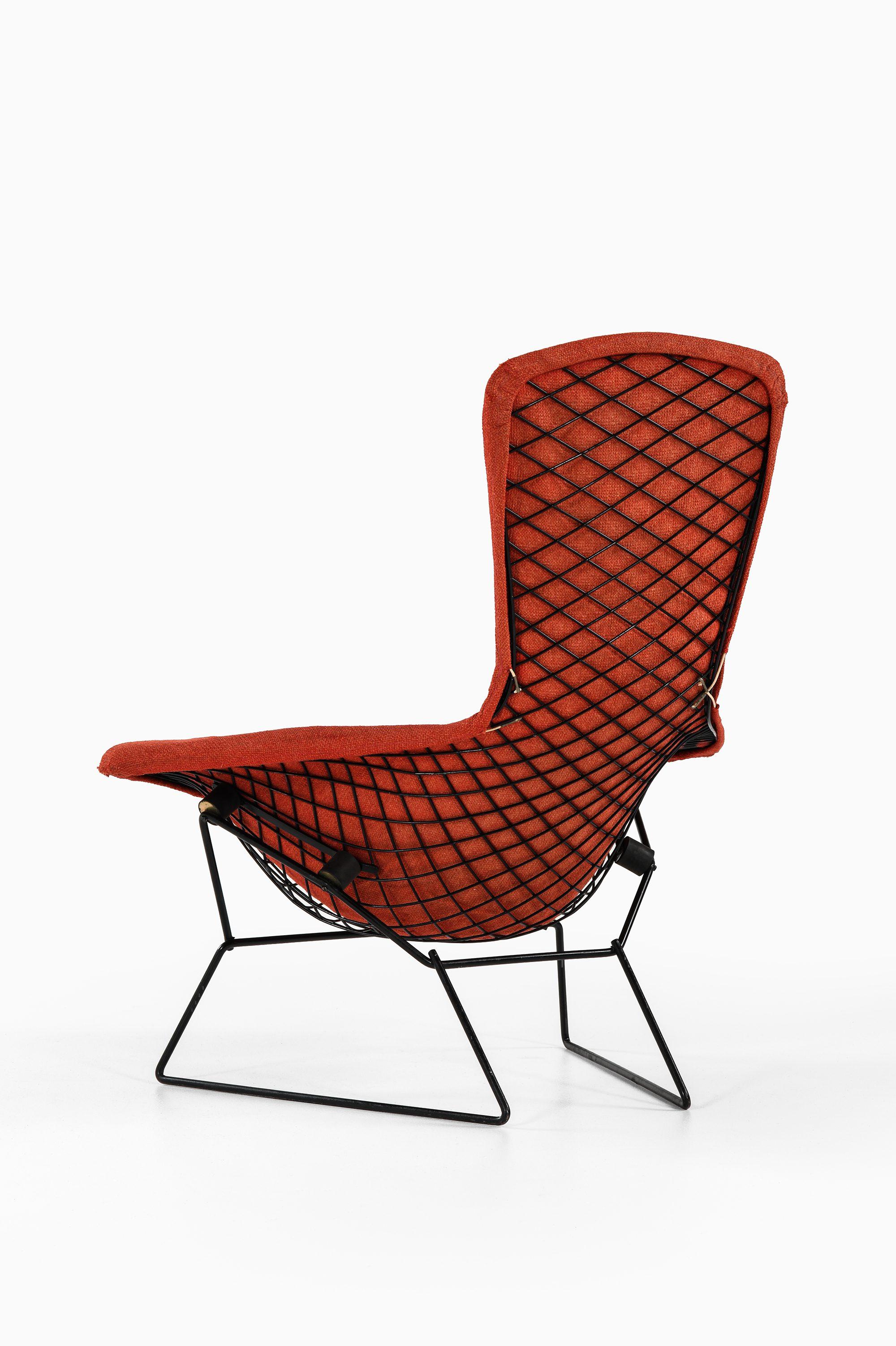 Easy Bird Chair in Black Lacquered Metal and Red Fabric by Harry Bertoia, 1950s In Good Condition For Sale In Limhamn, Skåne län