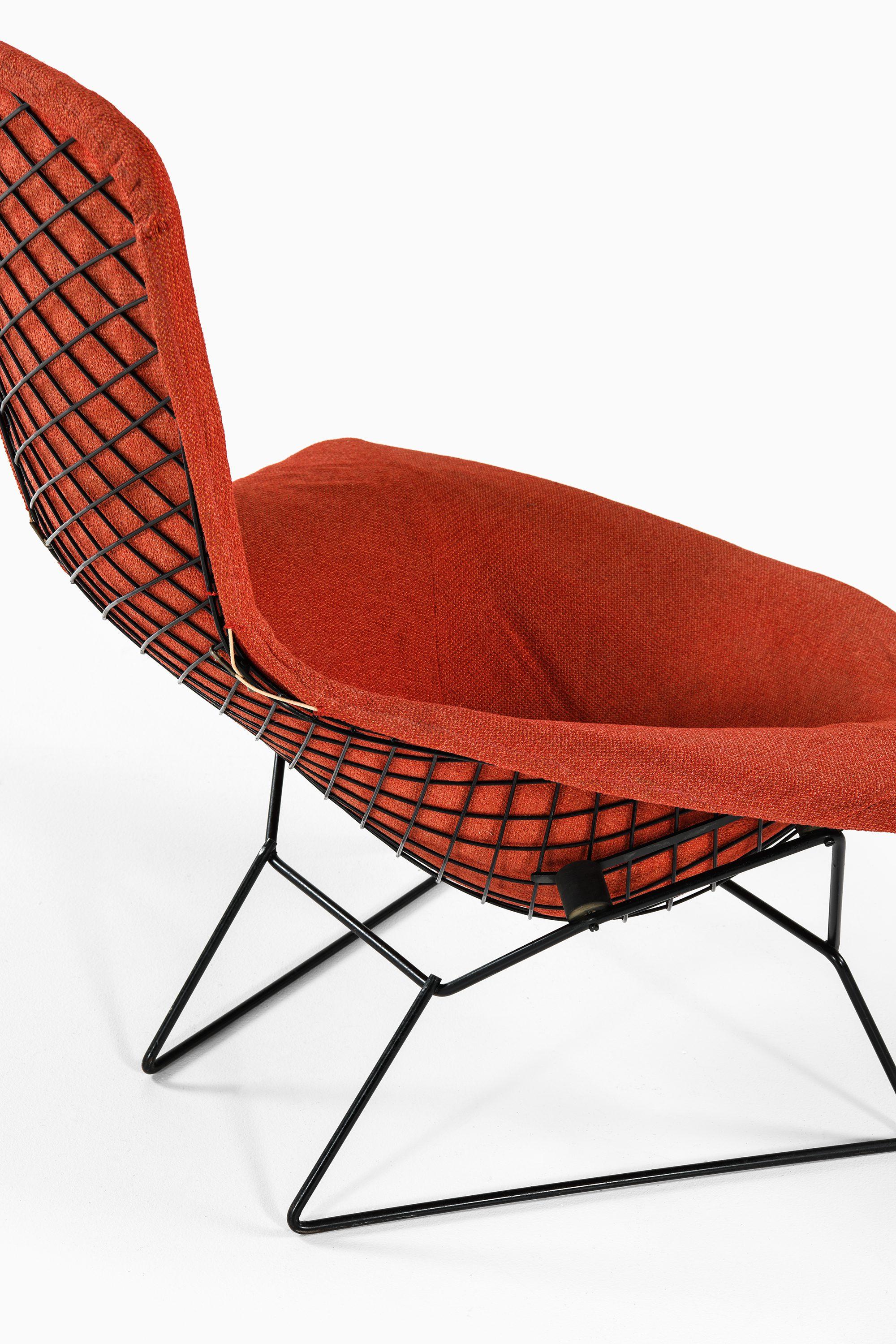 20th Century Easy Bird Chair in Black Lacquered Metal and Red Fabric by Harry Bertoia, 1950s For Sale