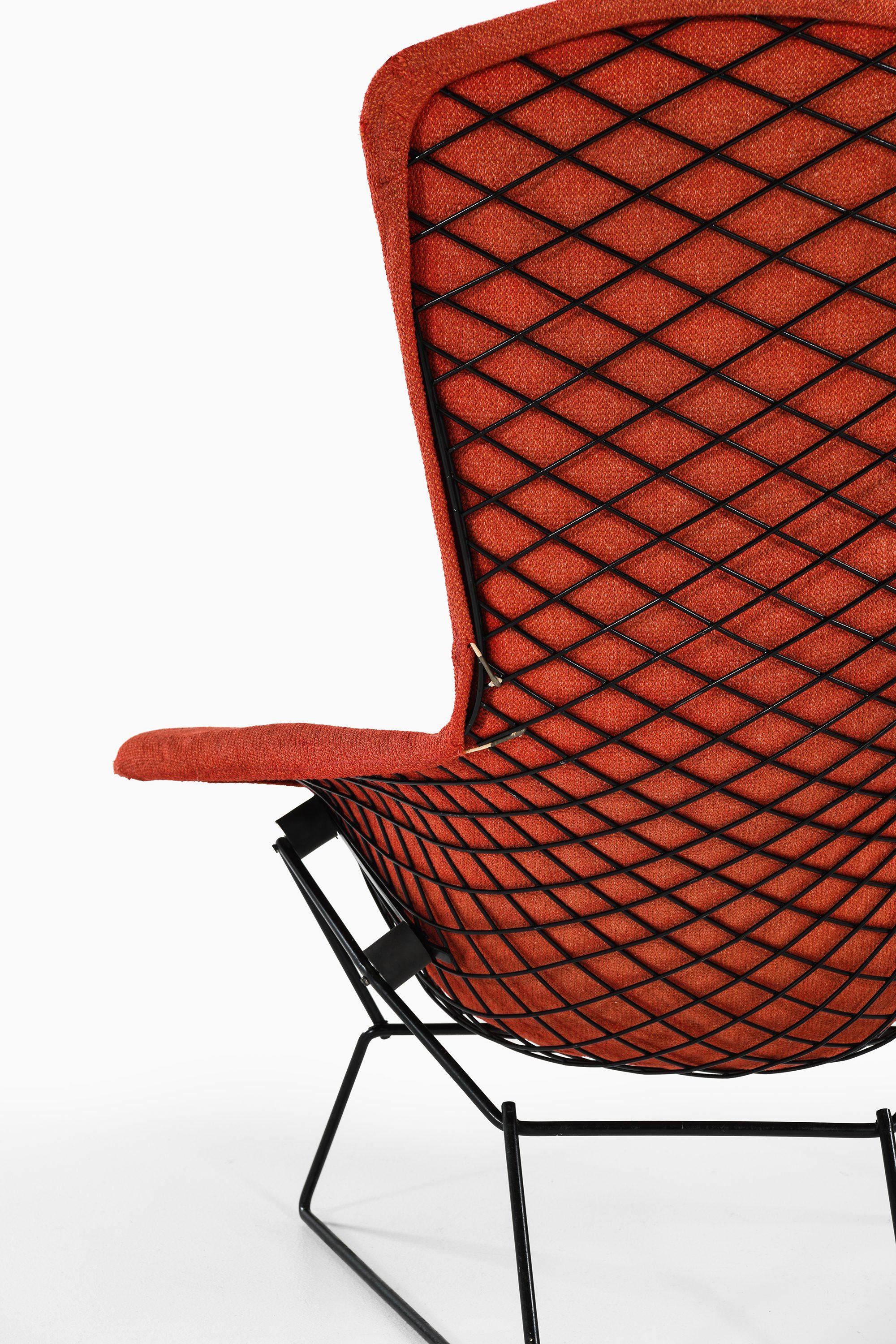 Easy Bird Chair in Black Lacquered Metal and Red Fabric by Harry Bertoia, 1950s For Sale 2