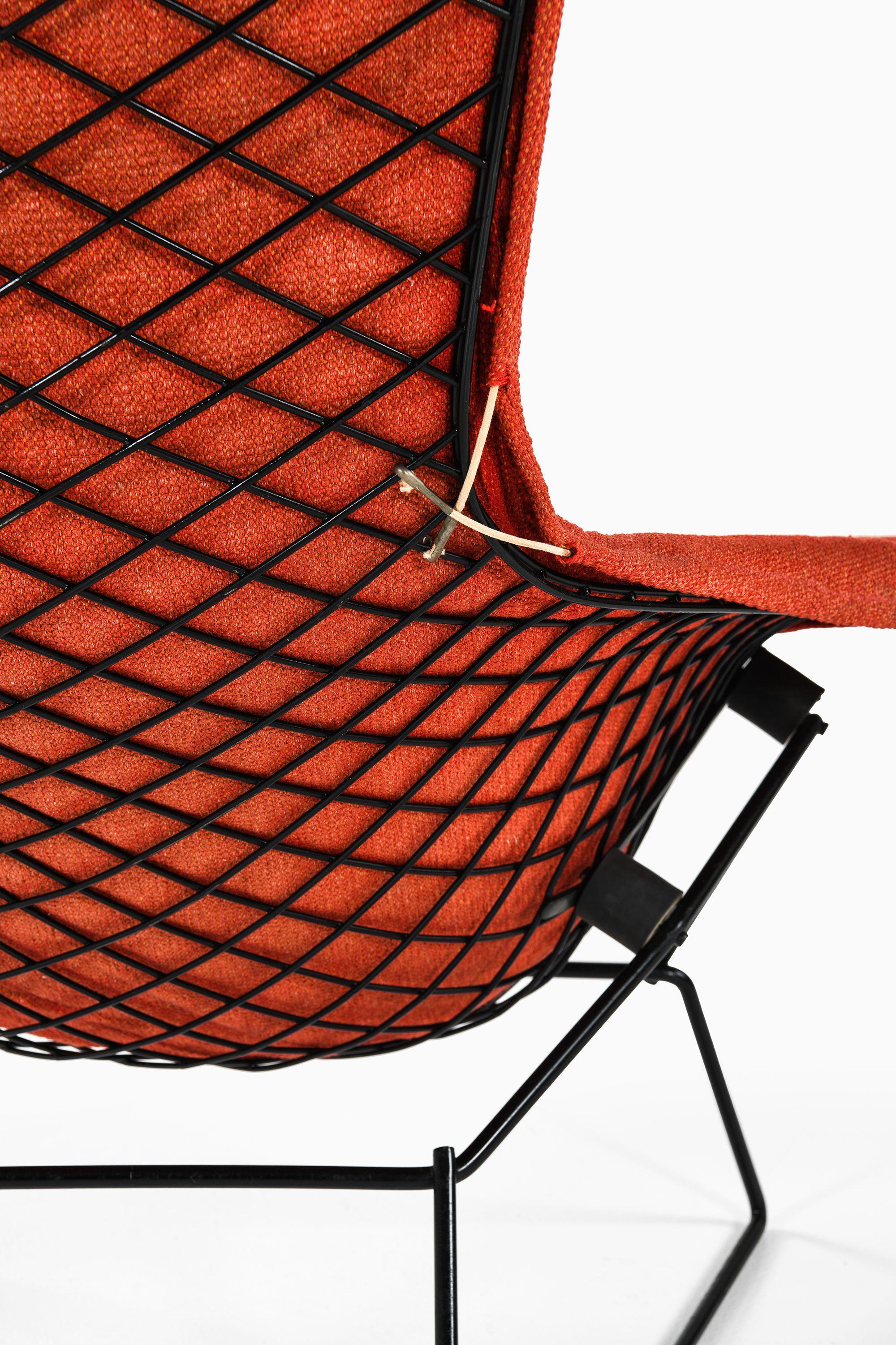 Easy Bird Chair in Black Lacquered Metal and Red Fabric by Harry Bertoia, 1950s For Sale 3