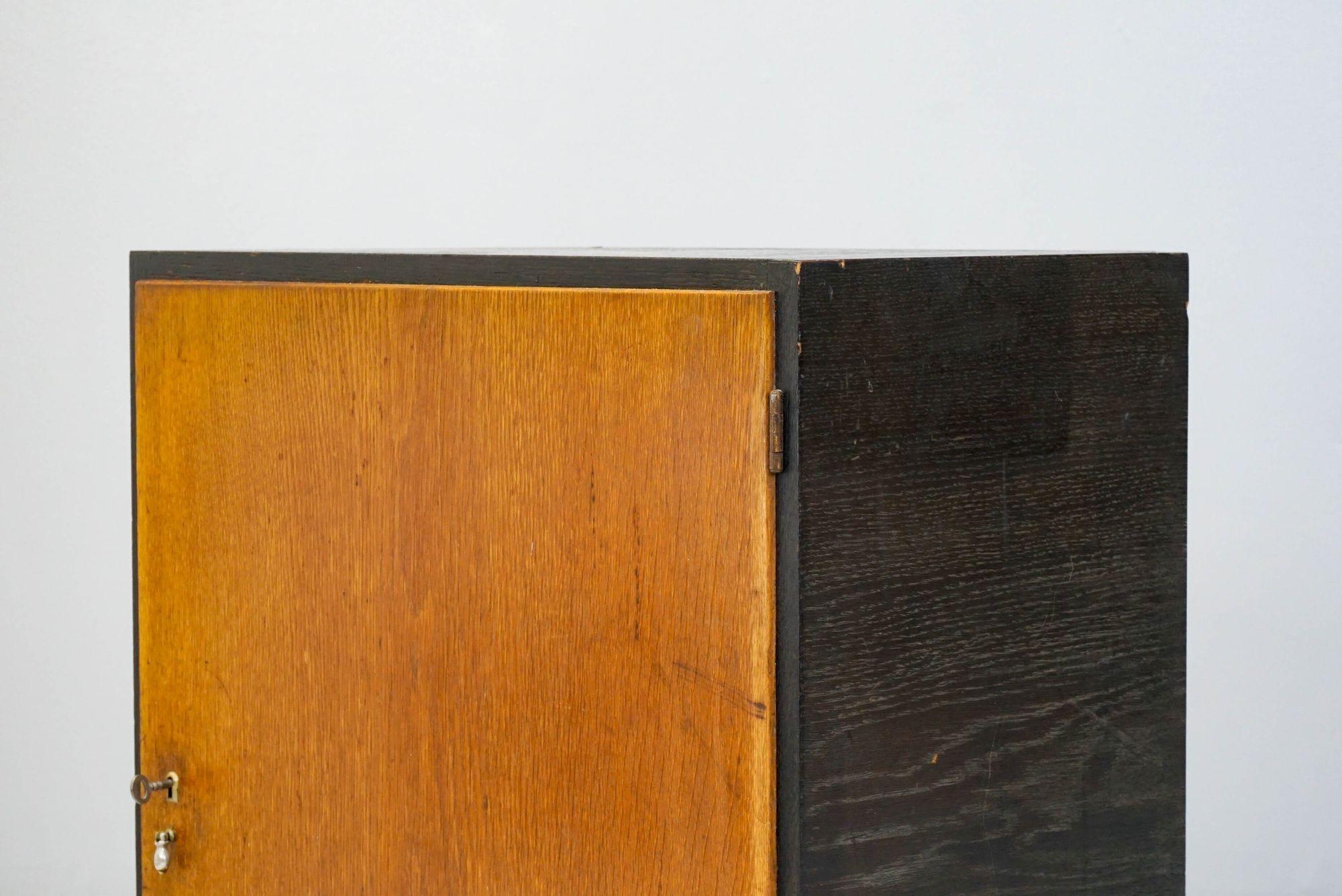 Ebonised and Oak Cupboard by Franz Schuster For Sale 1