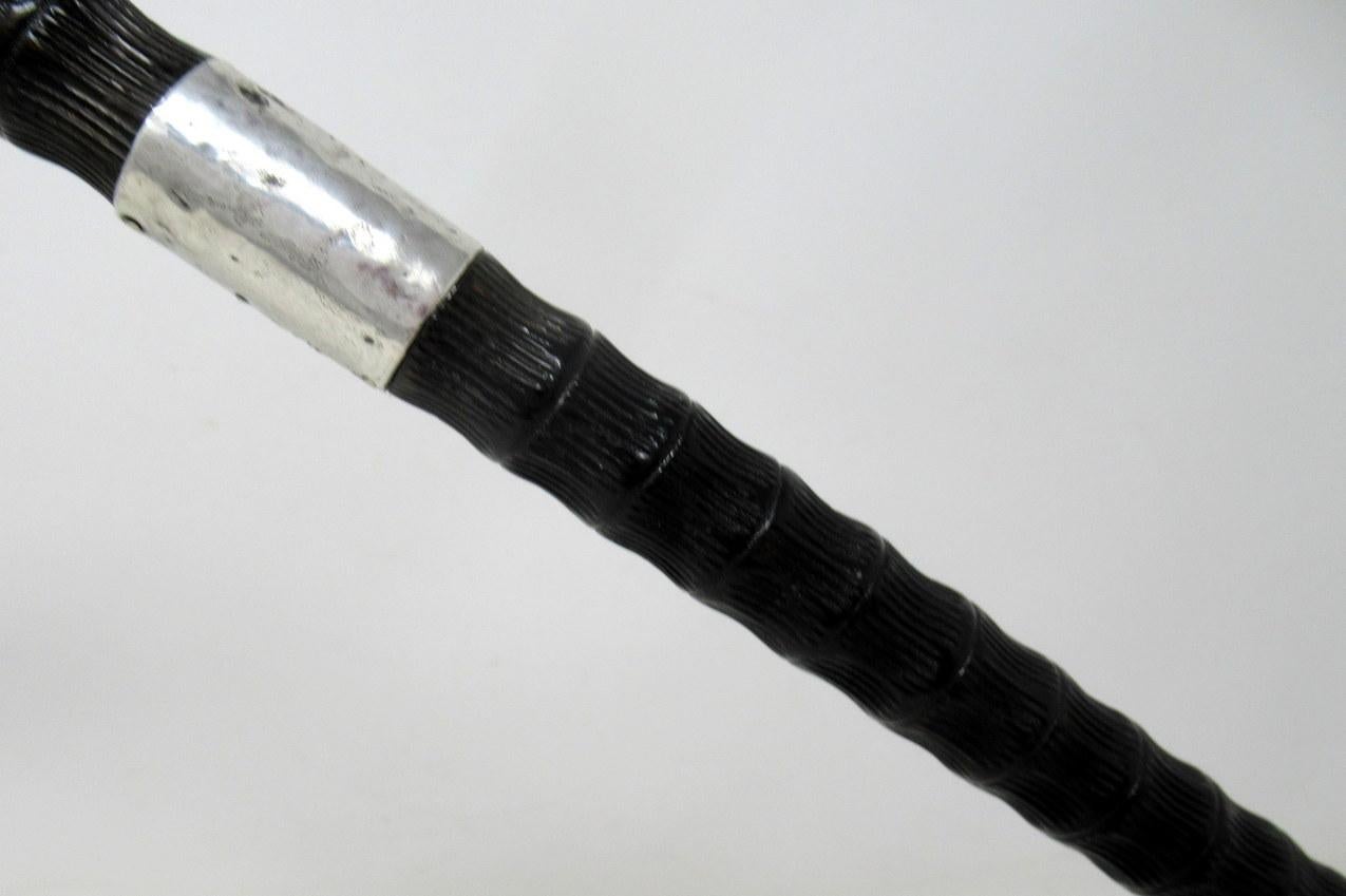 Ebonised Carved Wood Walking Stick Cane Crook Handle Sterling Silver Collar 1915 2