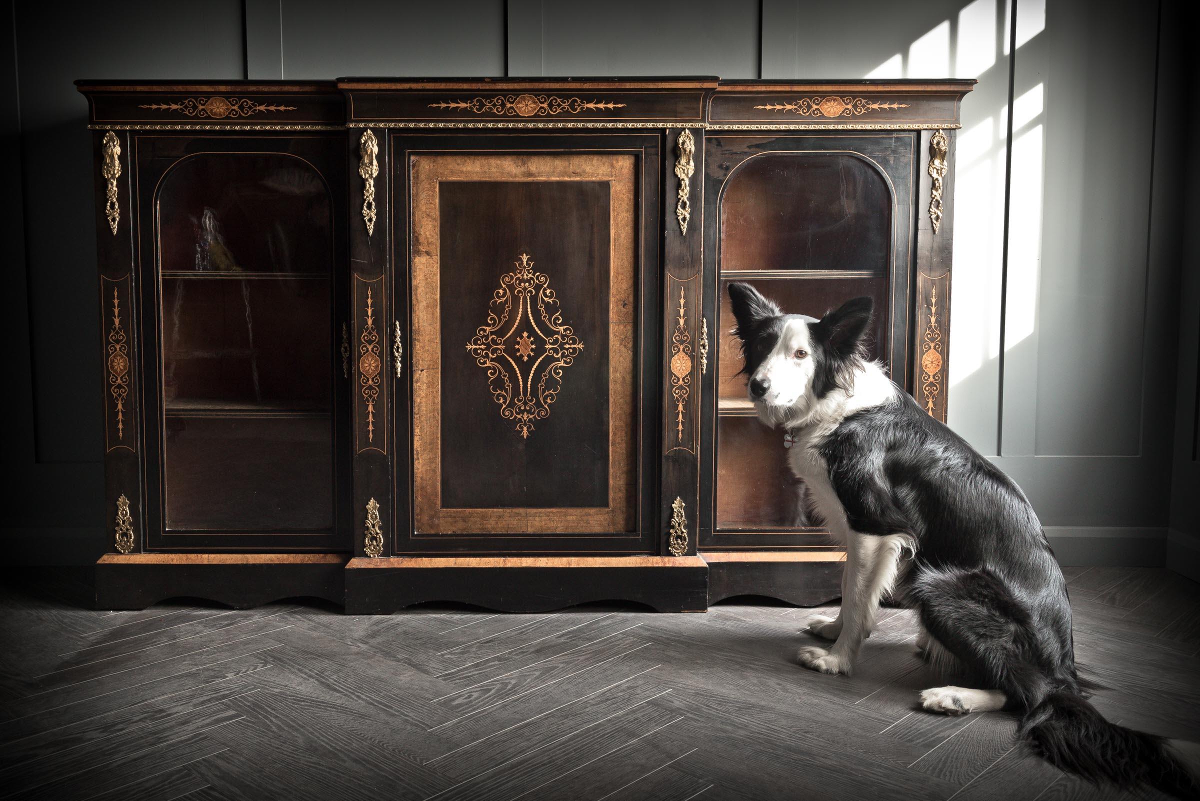 Ebonised Credenza with Ormolu Detailing For Sale 1
