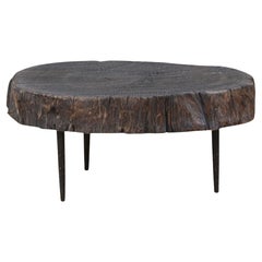 Antique Ebonised Elm Tree Trunk Coffee Table, Shandong, China, Early 20th Century