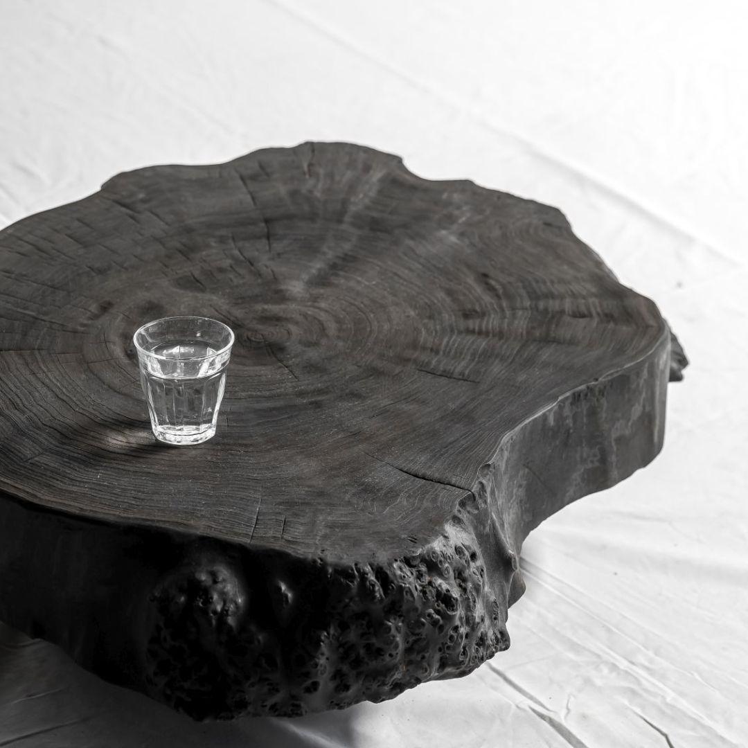 Ebonized Ebonised Poplar Trunk Coffee Table For Sale