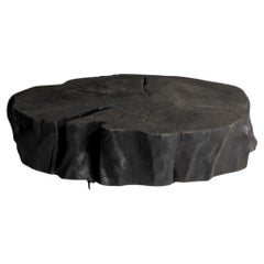 Mesa baja tronco de álamo ebonizado