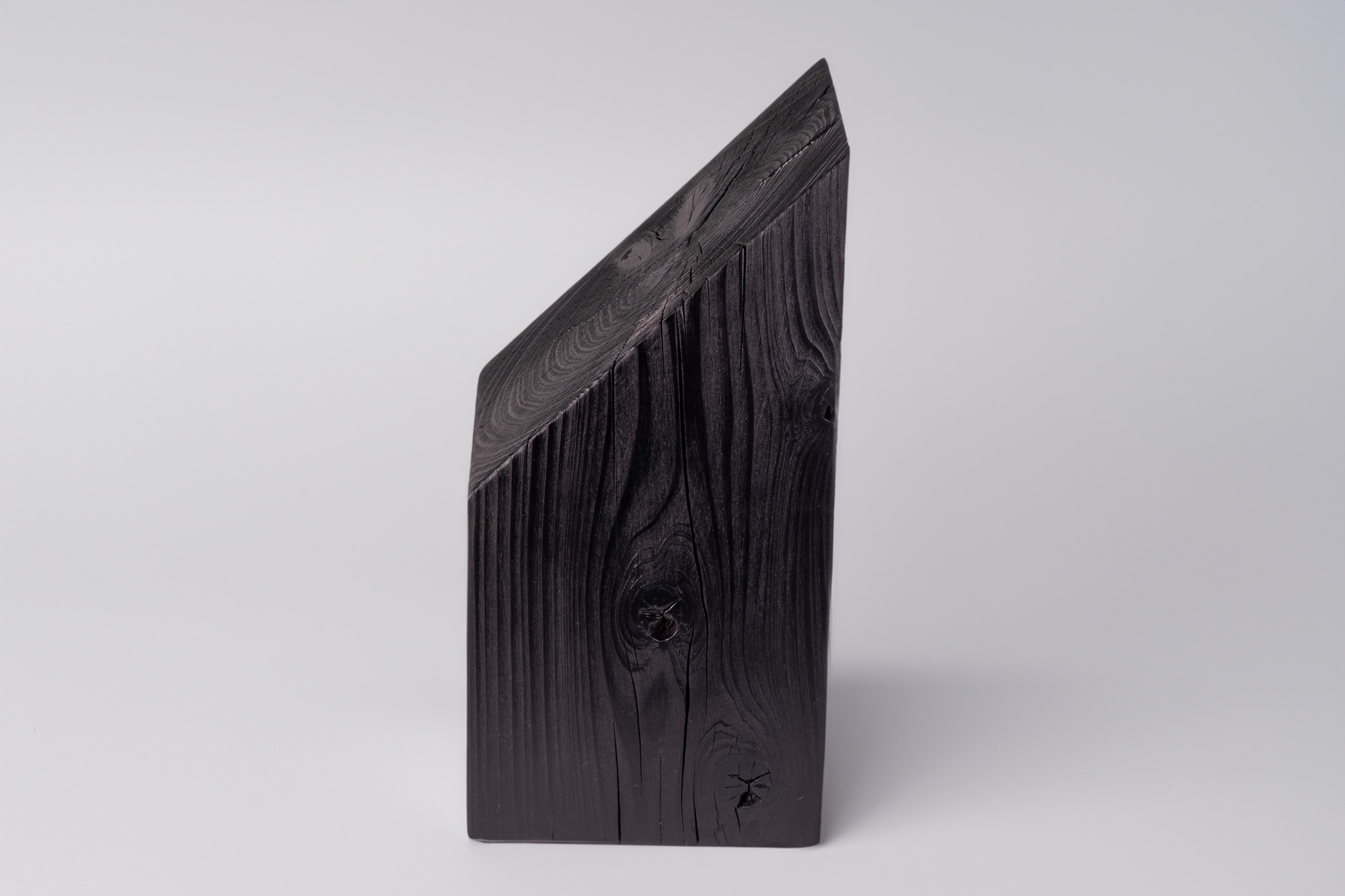 Introducing our Ebonized Cypress Wood Decoration, carefully crafted in our Westhampton Beach studio. This unique piece showcases the artistry of nature, with its angled cut revealing both the captivating end grain and the elegant long grain