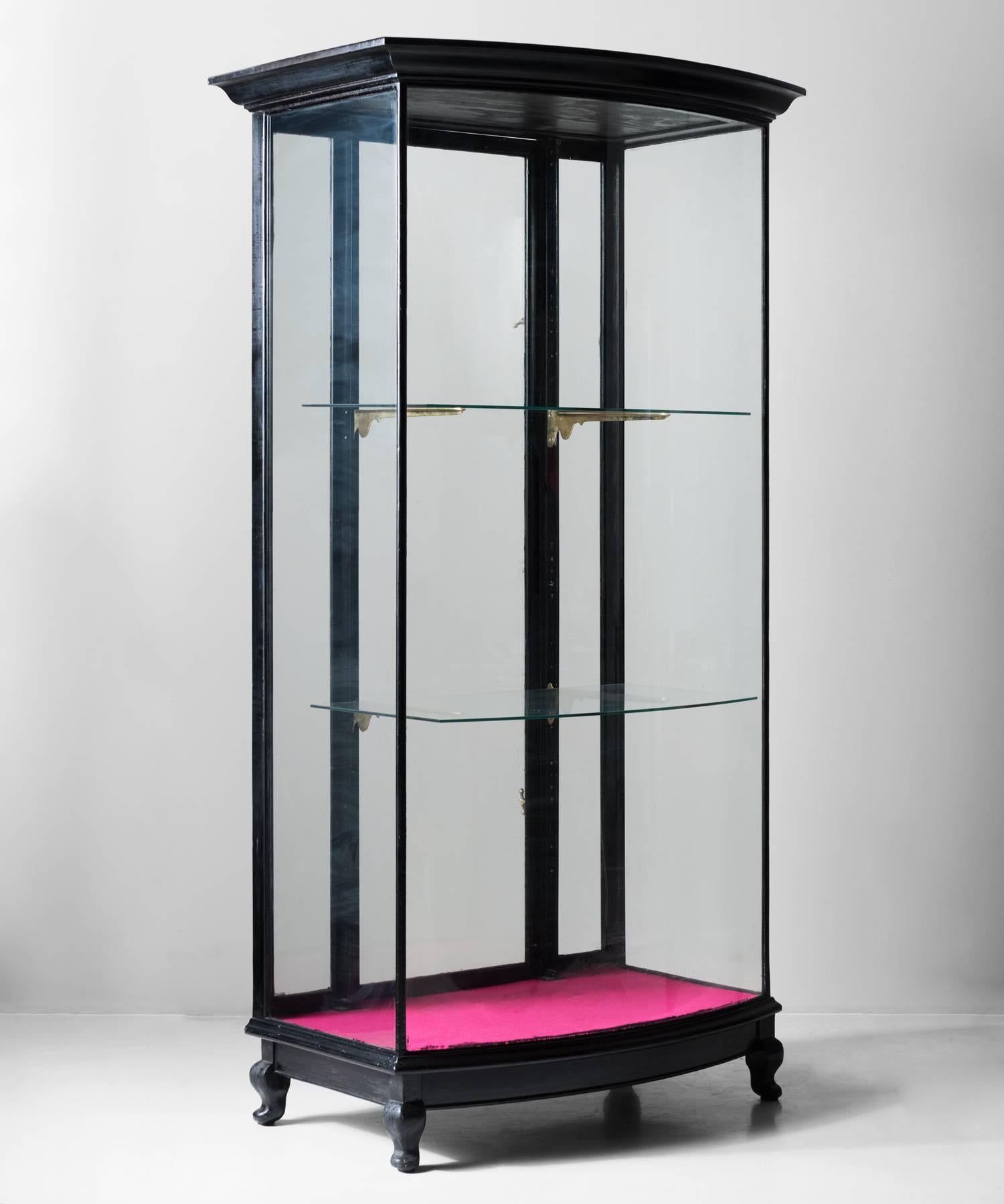 Ebonised Display Cabinet, England, circa 1920

Bow fronted case with brass hardware and adjustable glass shelves.