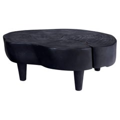 Ebonized Lychee Wood Coffee Table