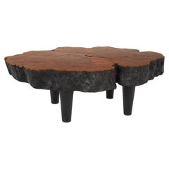 Ebonized Lychee Wood Coffee Table with Beautifully Stained Top