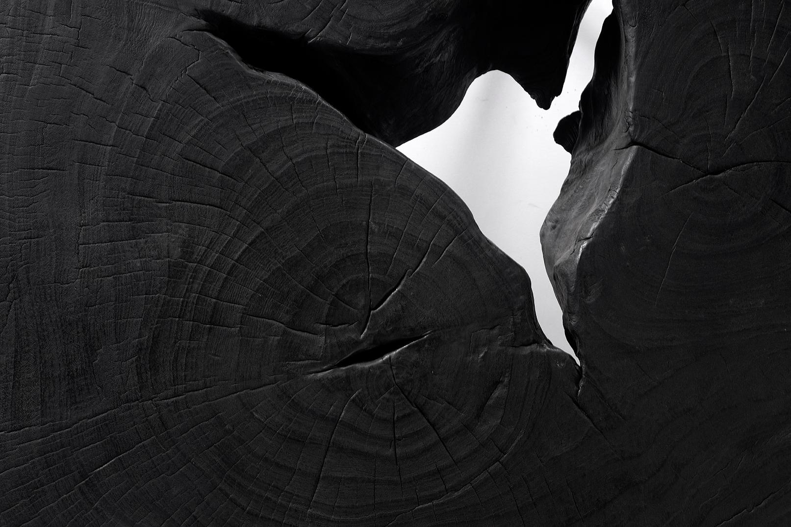 Ebonized Monumental Lychee Wood Coffee Table For Sale 2