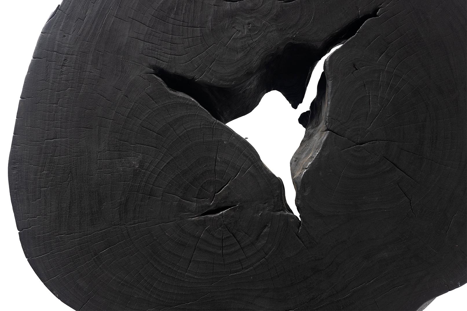 Ebonized Monumental Lychee Wood Coffee Table For Sale 3