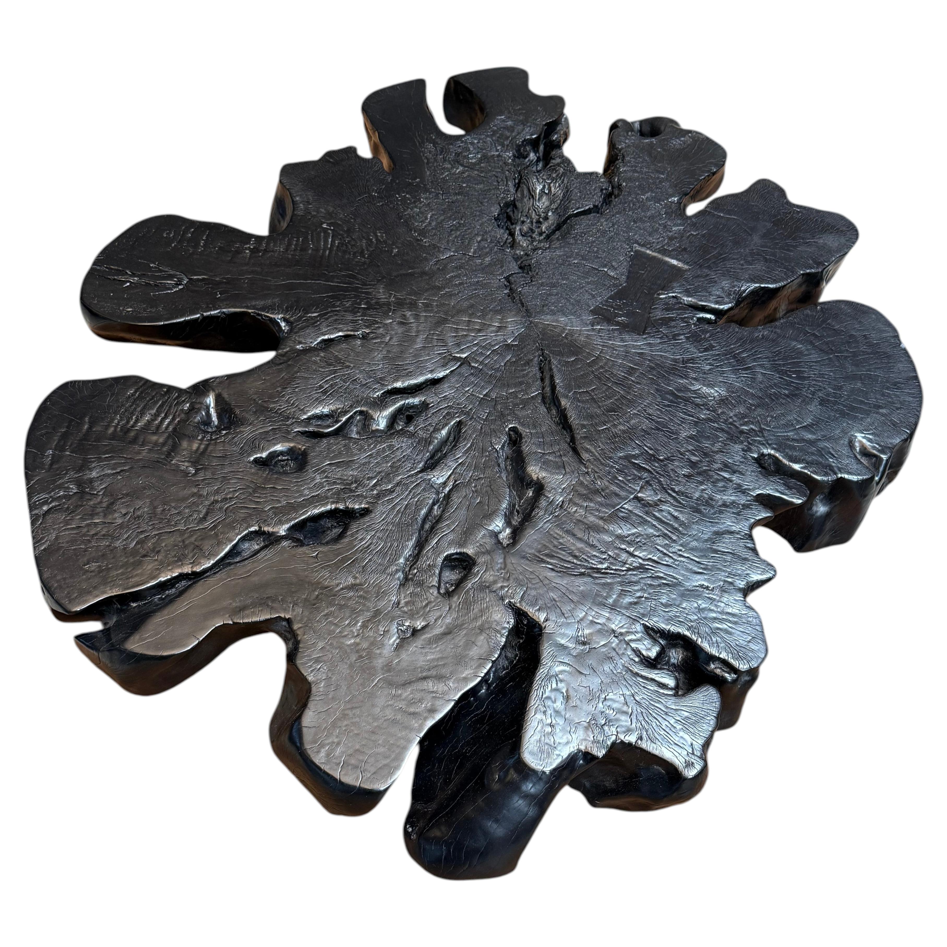 Ebonized Old Growth Acacia Coffee Table; Jet Black with Organic Shape