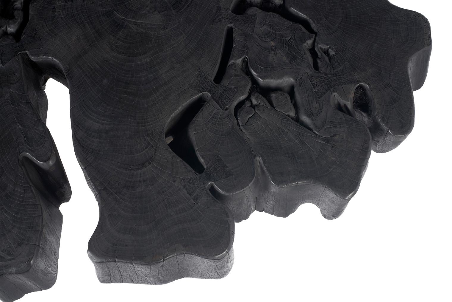 Ebonized Organic Form Lychee Wood Coffee Table For Sale 1