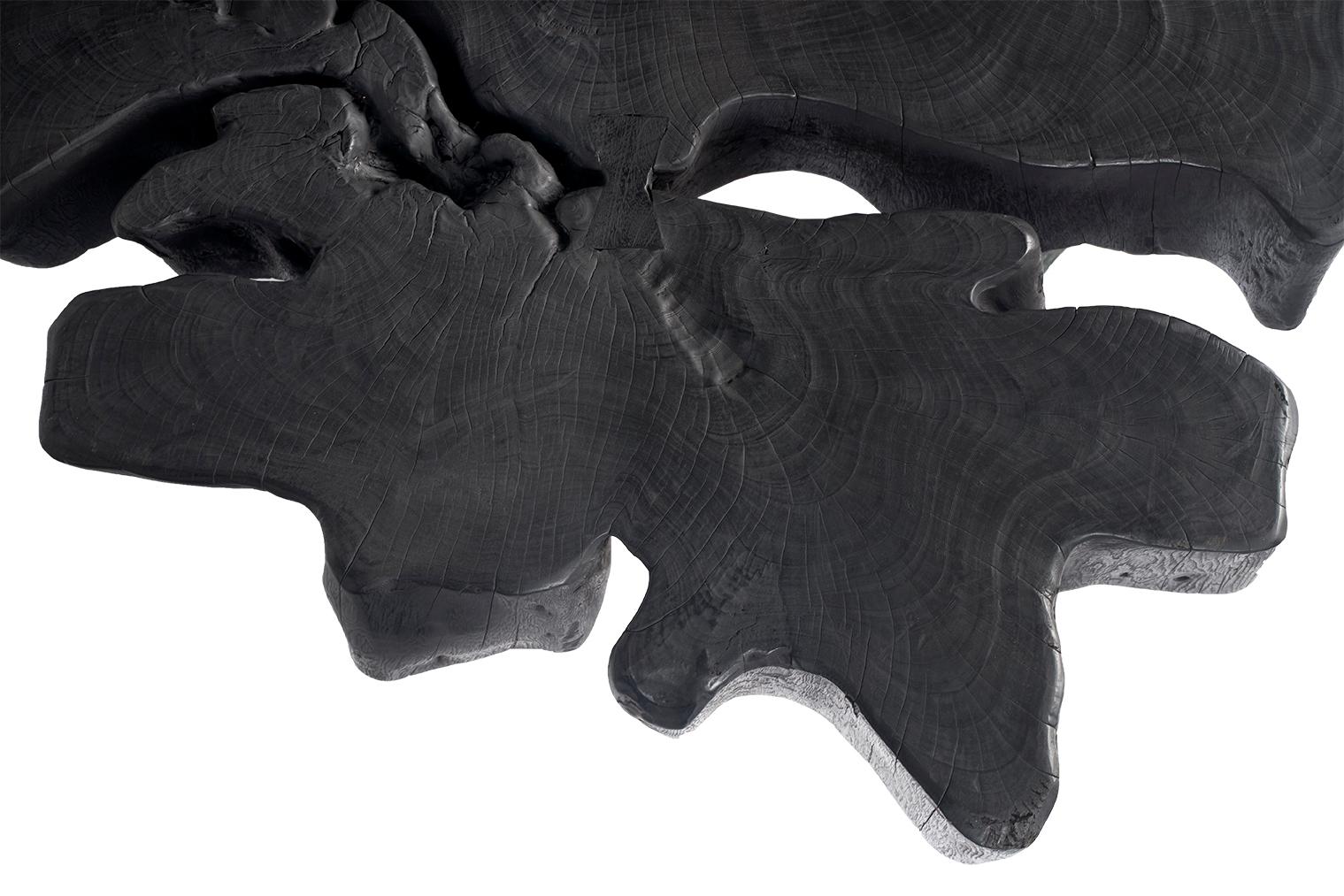 Ebonized Organic Form Lychee Wood Coffee Table For Sale 2