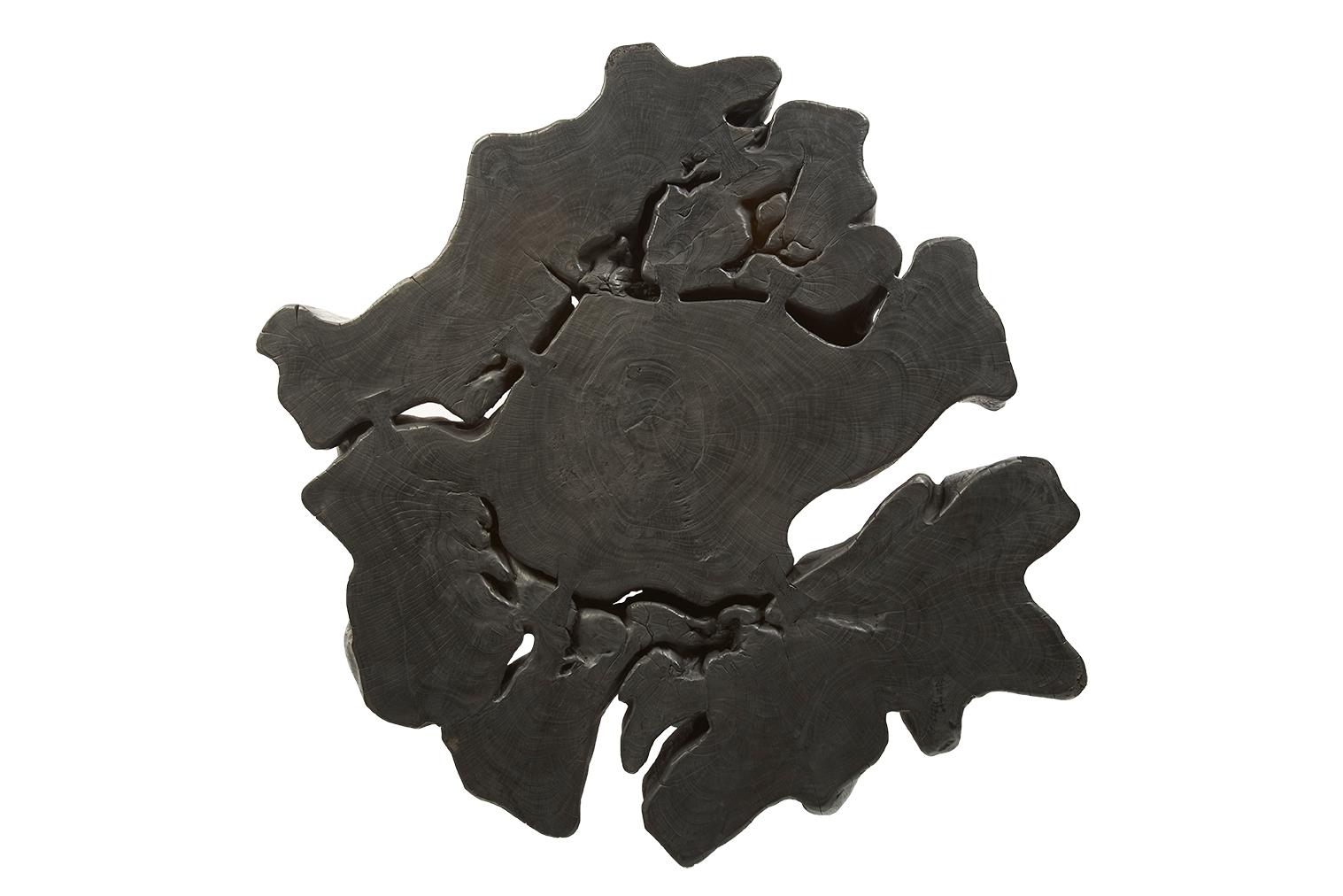 Ebonized Organic Form Lychee Wood Coffee Table For Sale 3