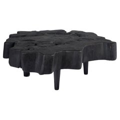 Ebonisierte organische Form Lychee Wood Couchtisch