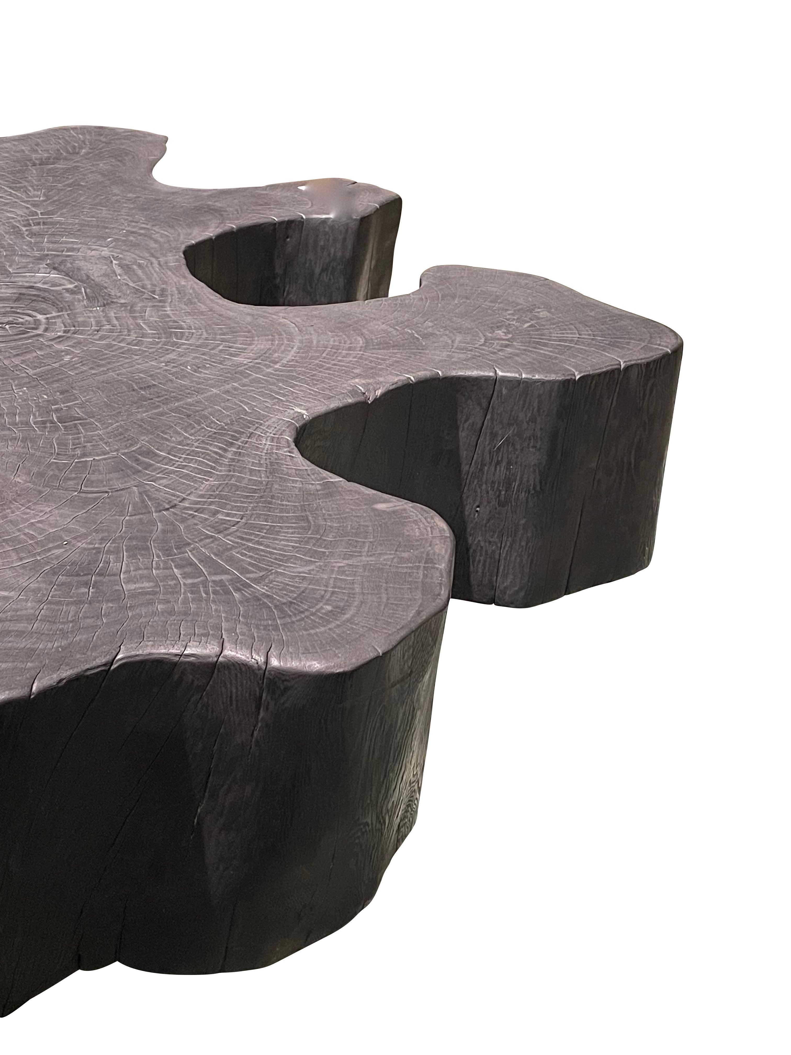 Contemporary Indonesian organic free from shaped coffee table.
Ebonized fruitwood.
