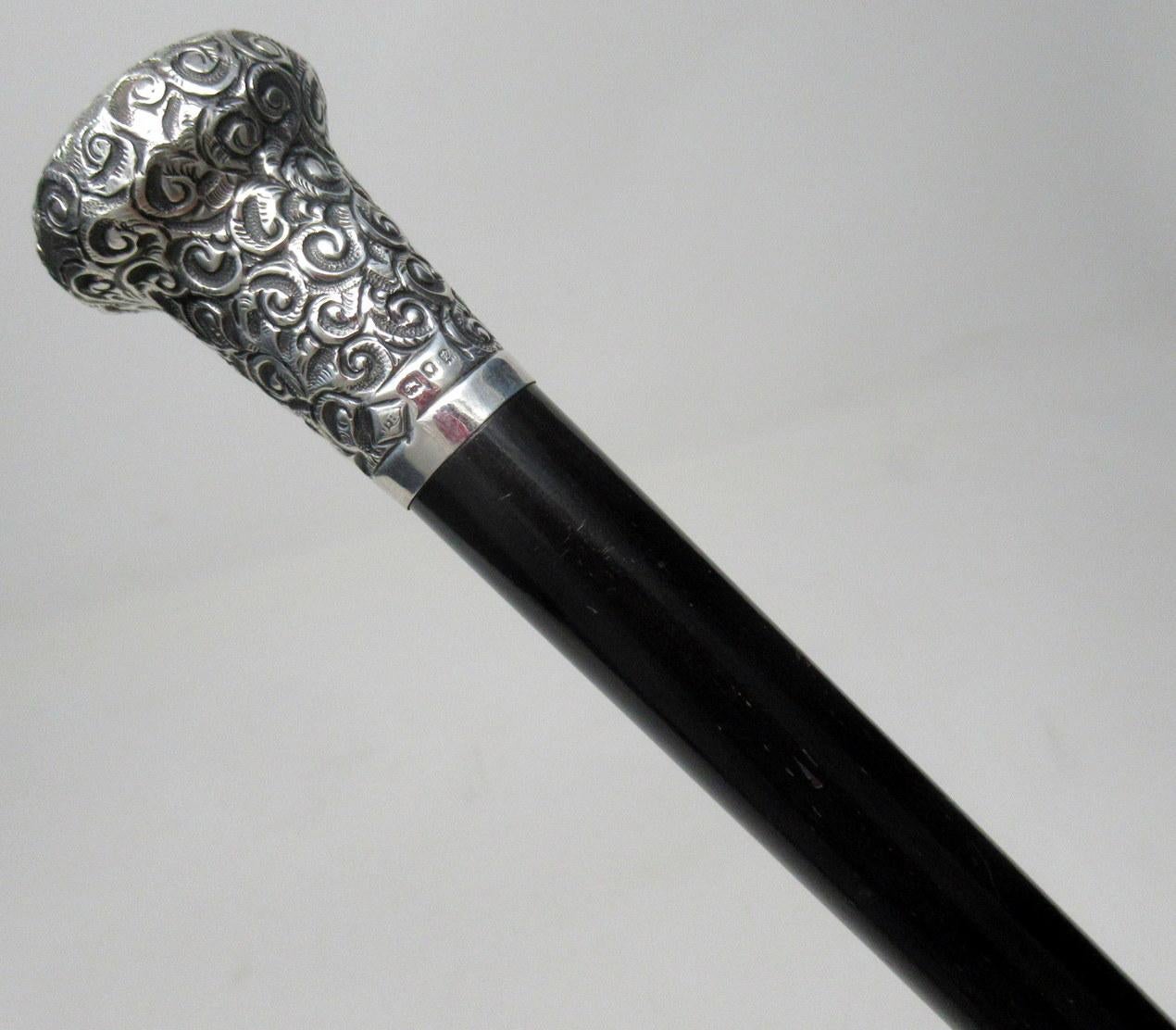 silver handled cane