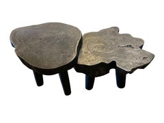 Ebonized Wood Two Tier Coffee Table, Indonesia, Contemporary