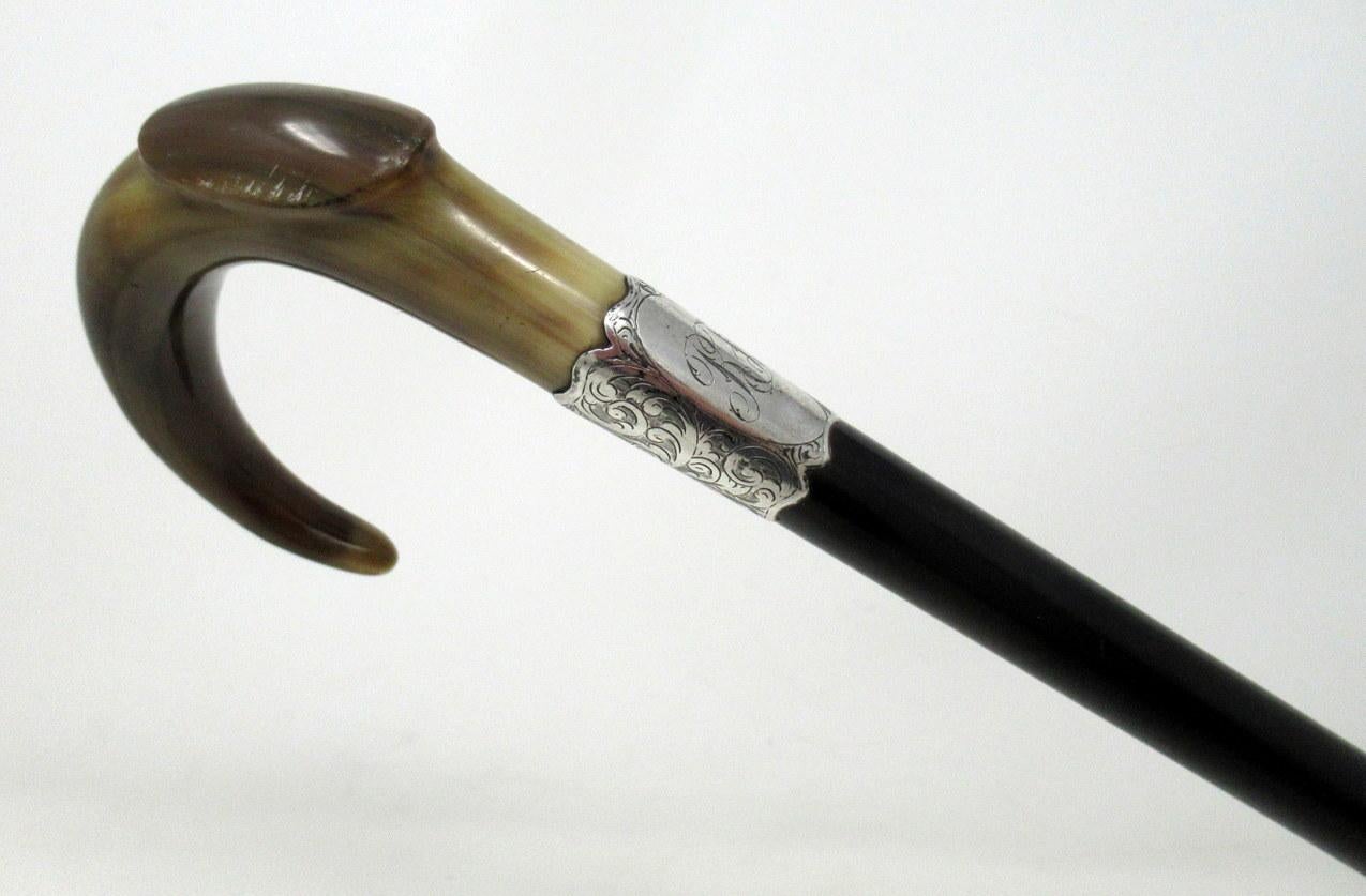 Very stylish fine quality ebonized wooden walking cane with an elegant decoratively carved classical cow horn crook handle above a finely chased silver collar bearing initials R F.

Silver Makers Mark H T for Henry Tracy & Sons. Moorgate Street,