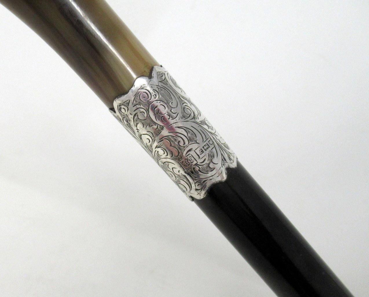 English Ebonized Wood Walking Stick Cane Horn Crook Handle Sterling Silver Collar, 1912