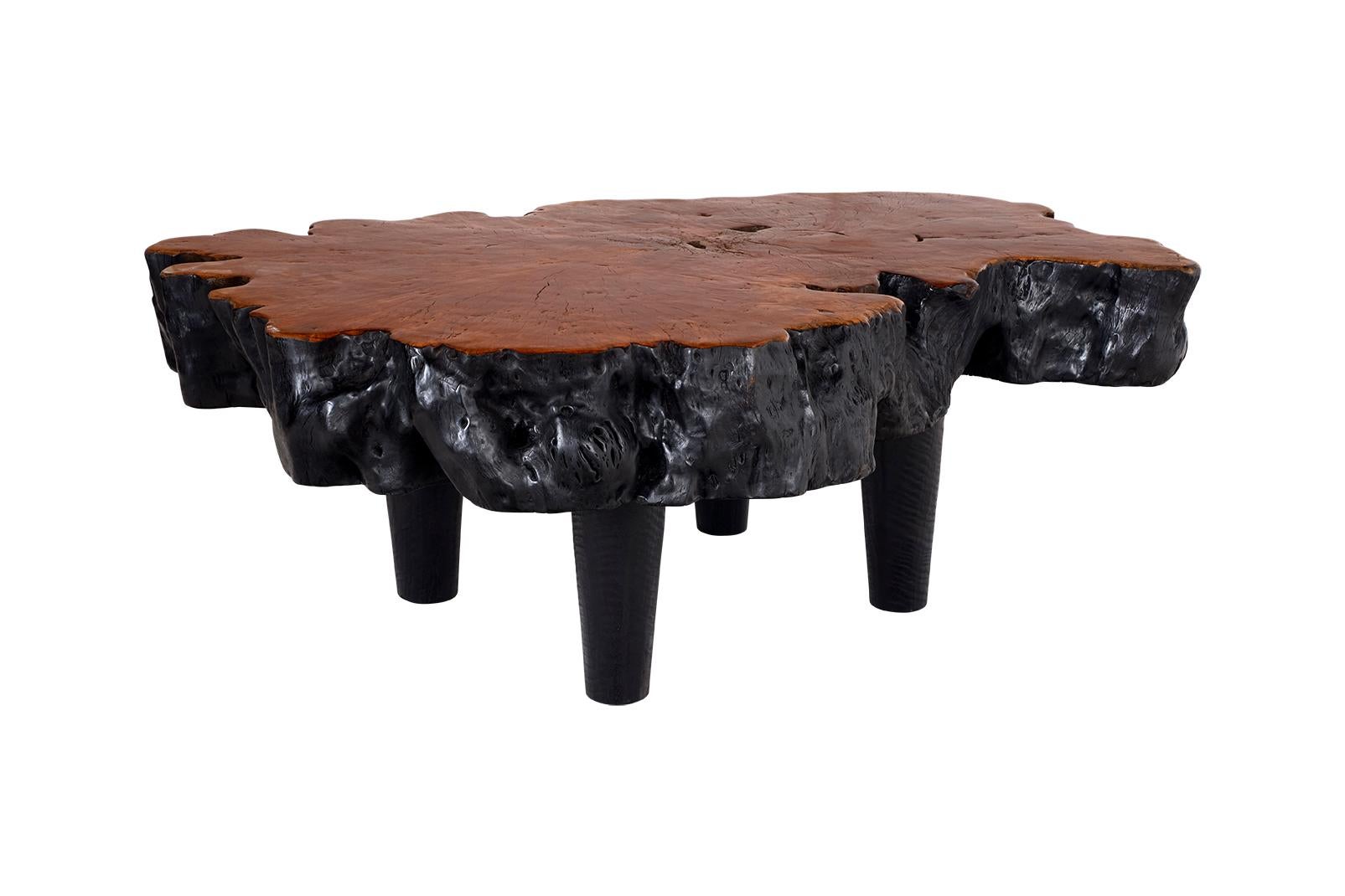 20th Century Ebony Patina Lychee Wood Organic Form Coffee Table