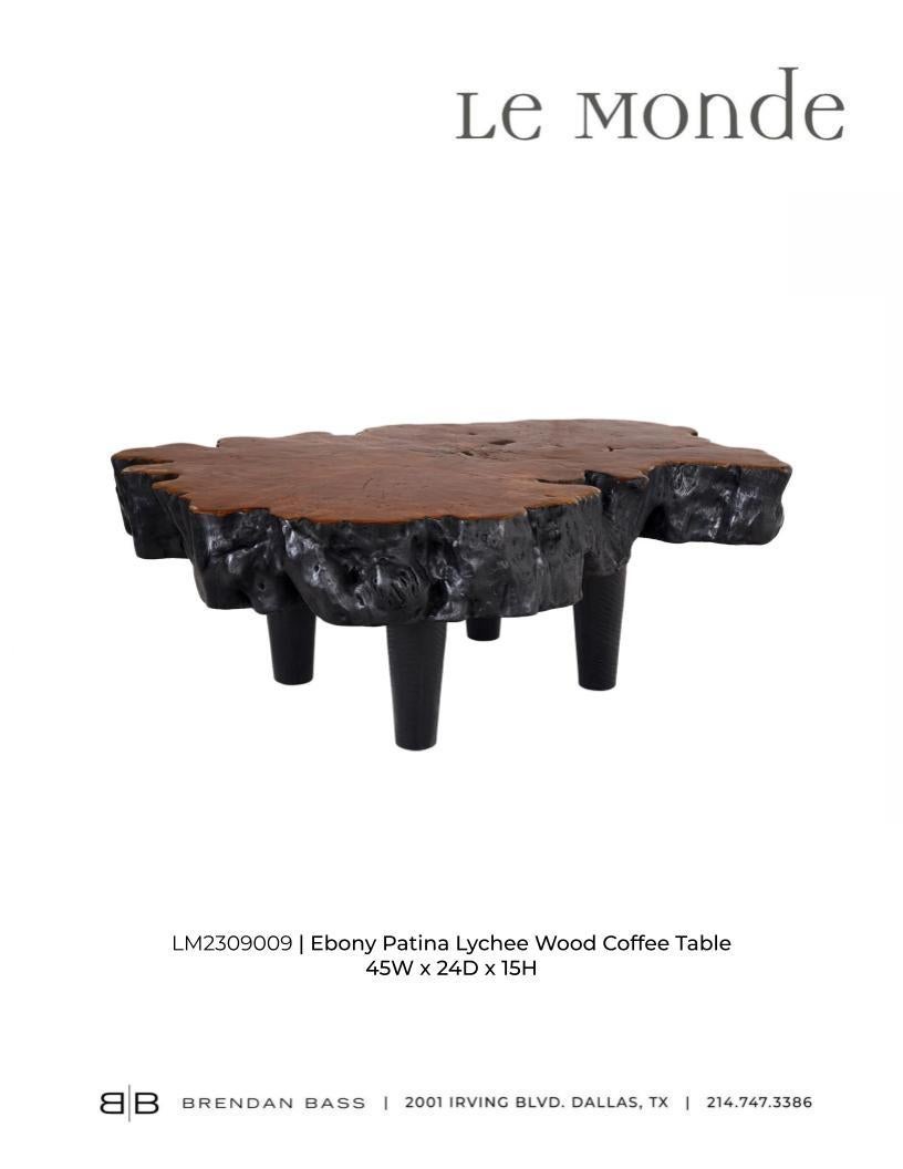 Ebony Patina Lychee Wood Organic Form Coffee Table 3
