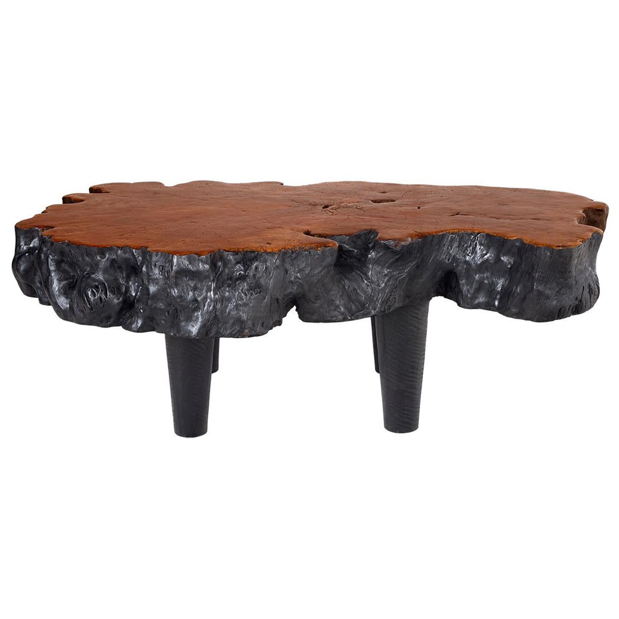 Ebony Patina Lychee Wood Organic Form Coffee Table