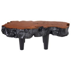 Ebony Patina Lychee Wood Organic Form Coffee Table