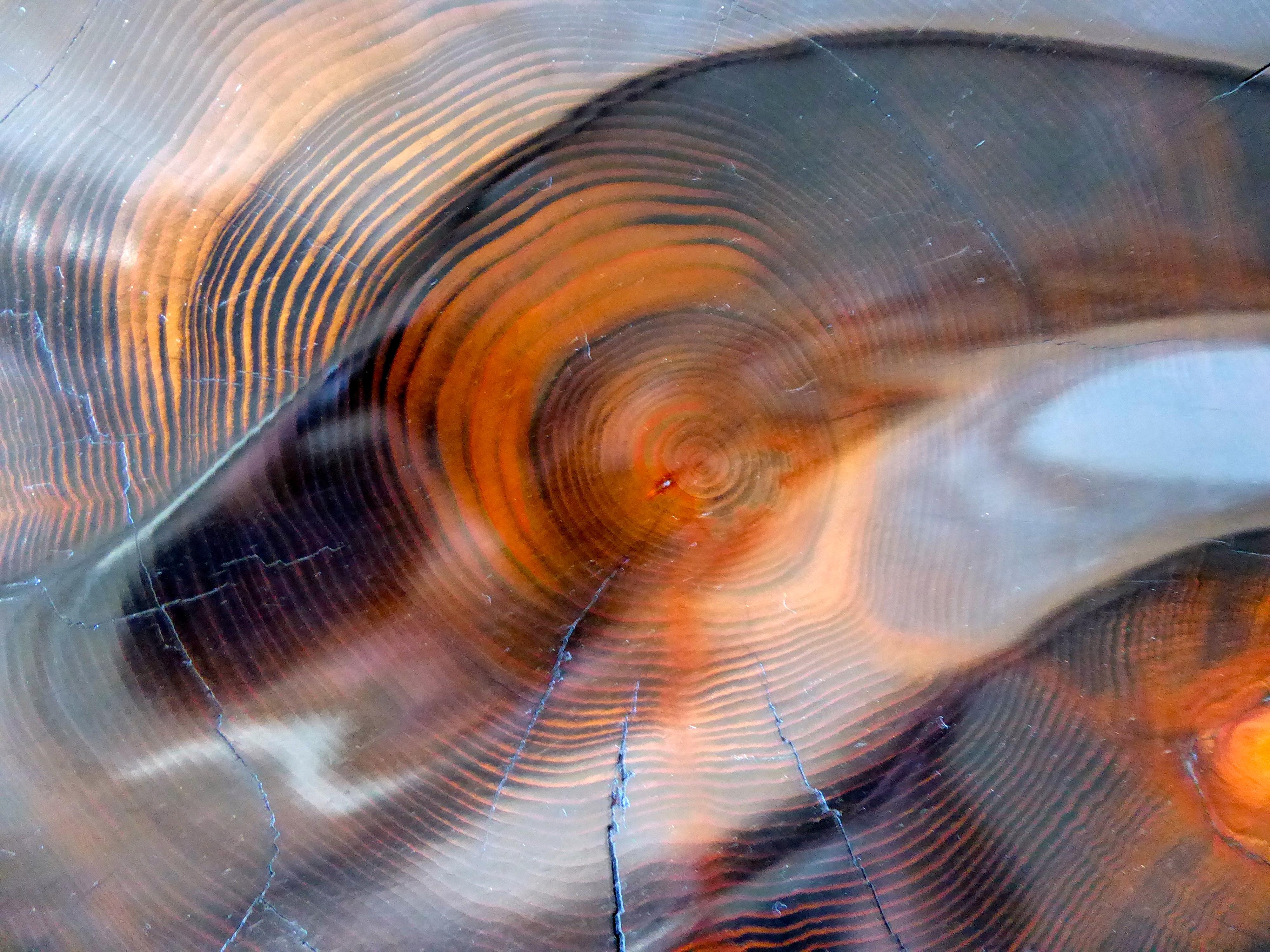 Ebony-Stained Cedar Wood Table by Contemporary American Artist Daniel Pollock 2