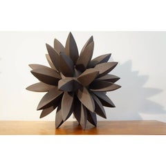 Ebony Star