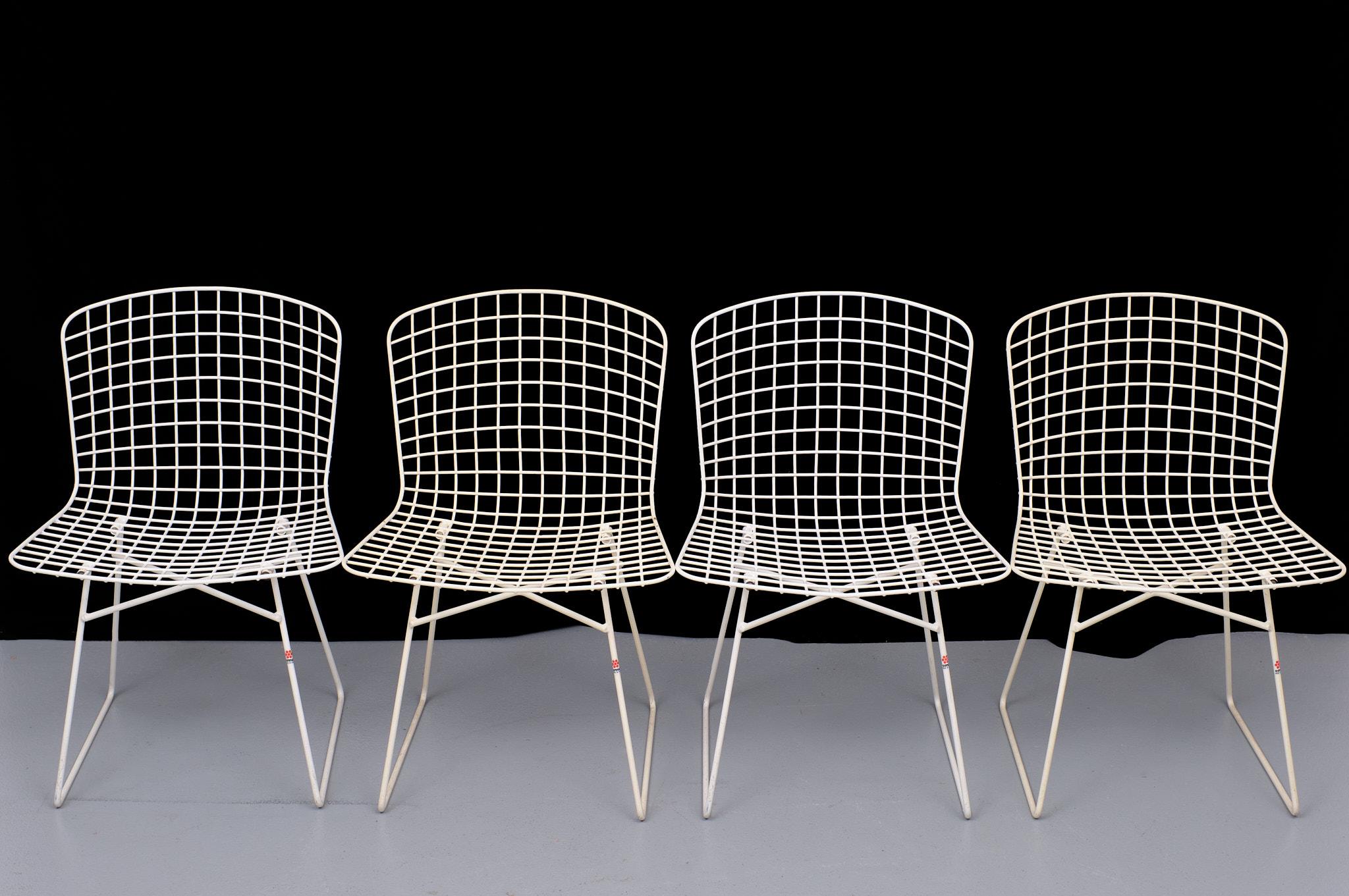 bertoia style wire dining chair