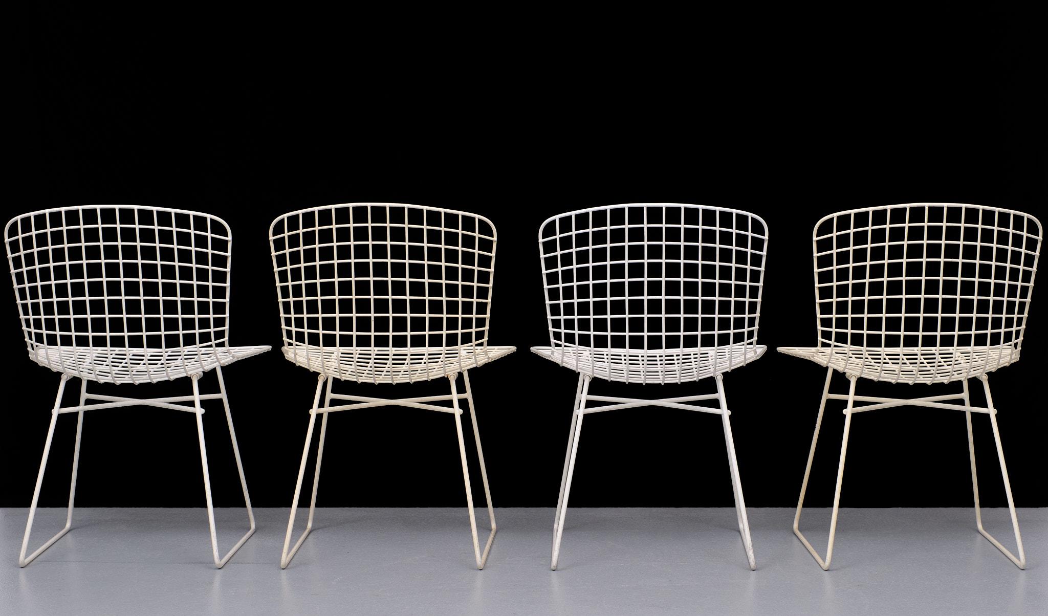 Italian Ebu Wire Dining Chairs Harry Bertoia Style, Italy, 1970s For Sale