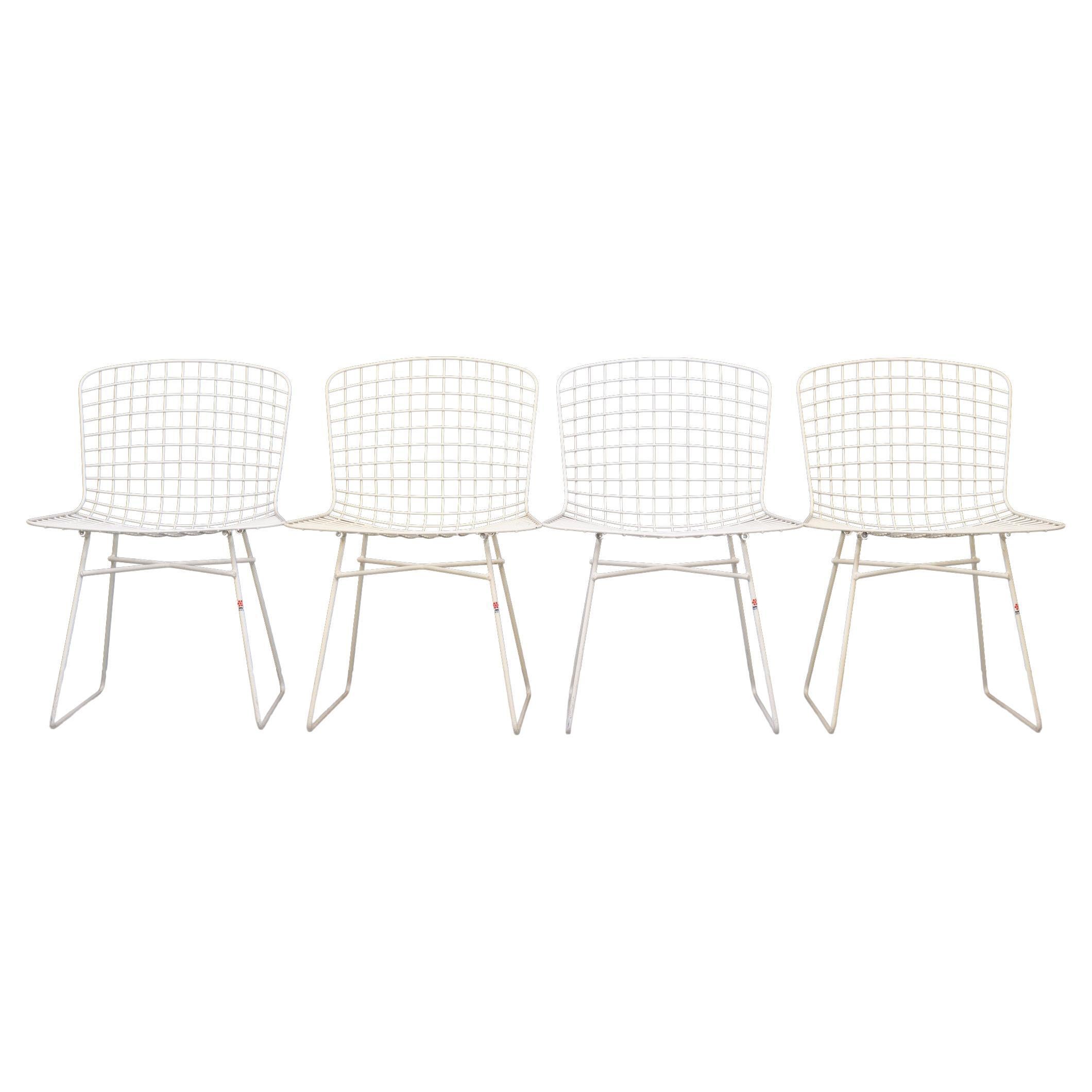 Ebu Wire Dining Chairs Harry Bertoia Style, Italy, 1970s For Sale