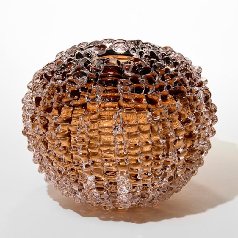 Echinus in Tea