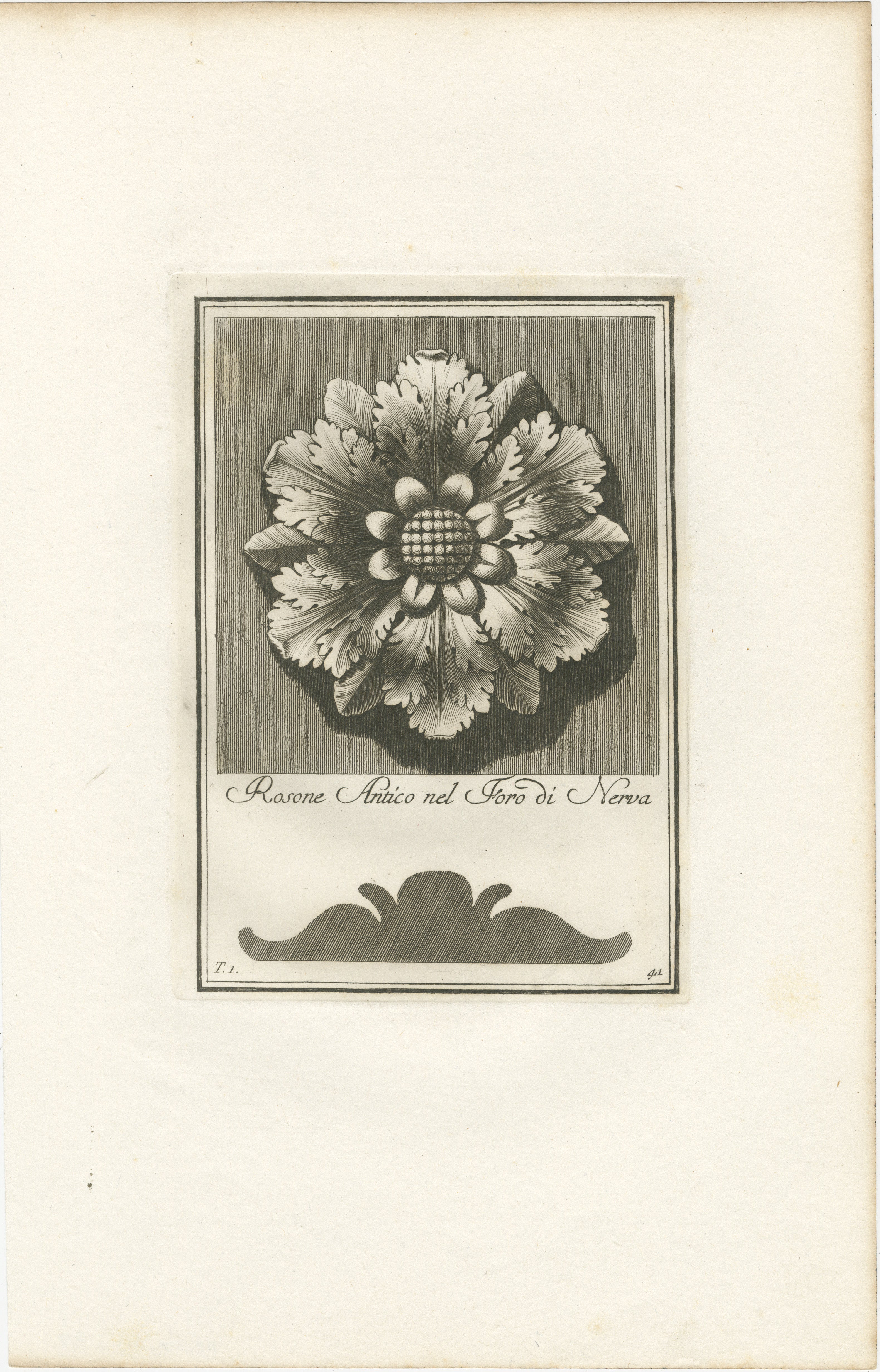 A fine example of an 18th-century botanical engraving. Created by Carlo Antonini between 1777 and 1790, it showcases a detailed depiction of a flower in full bloom. The illustration is highly detailed, with individual petals, stamens, and shading