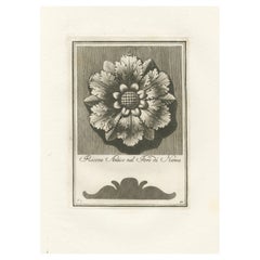 Echoes of Elegance: The Engraved Legacy of Carlo Antonini, 1780