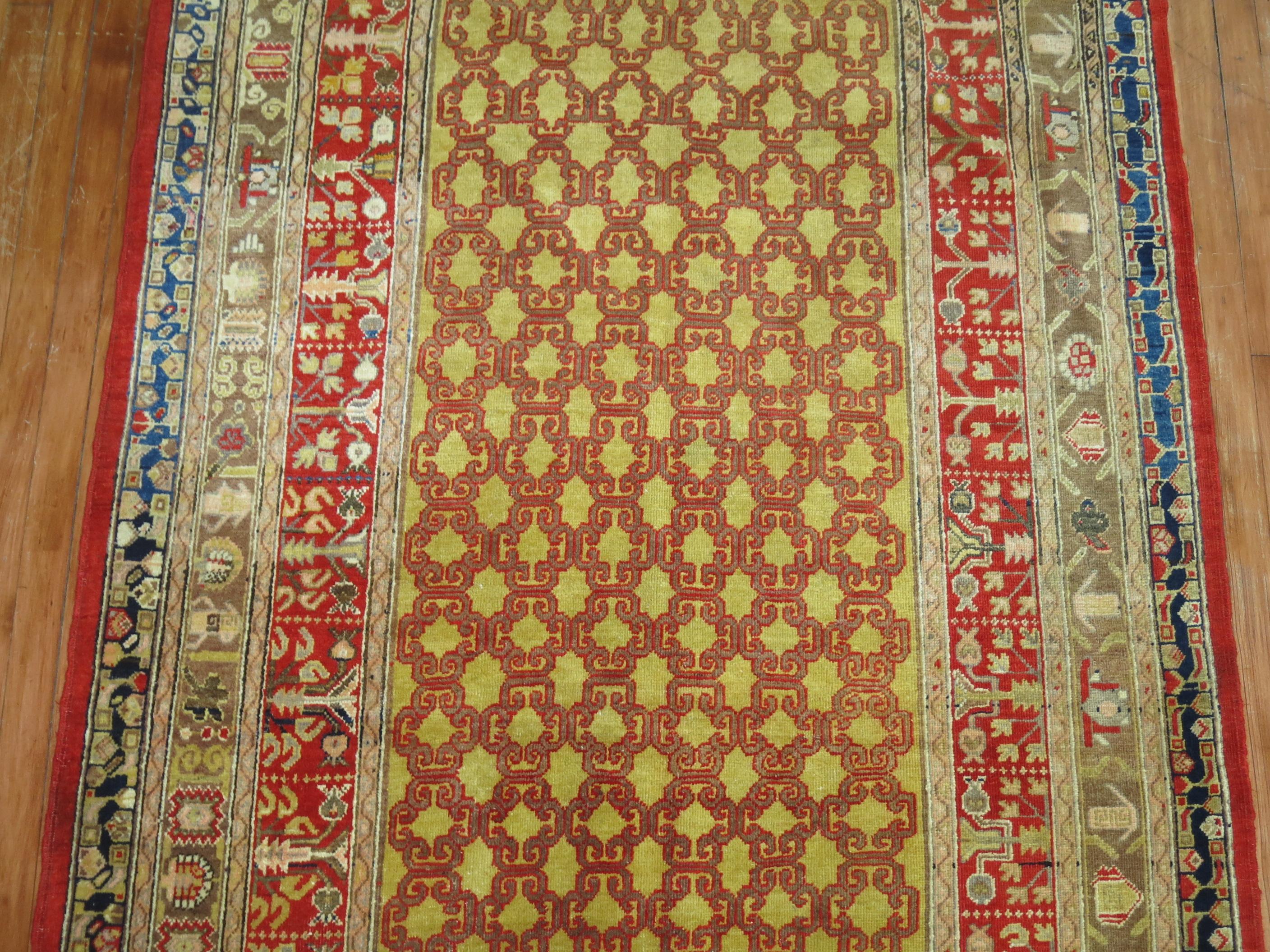 Eclectic Khotan Rug, Early 20th Century For Sale 2
