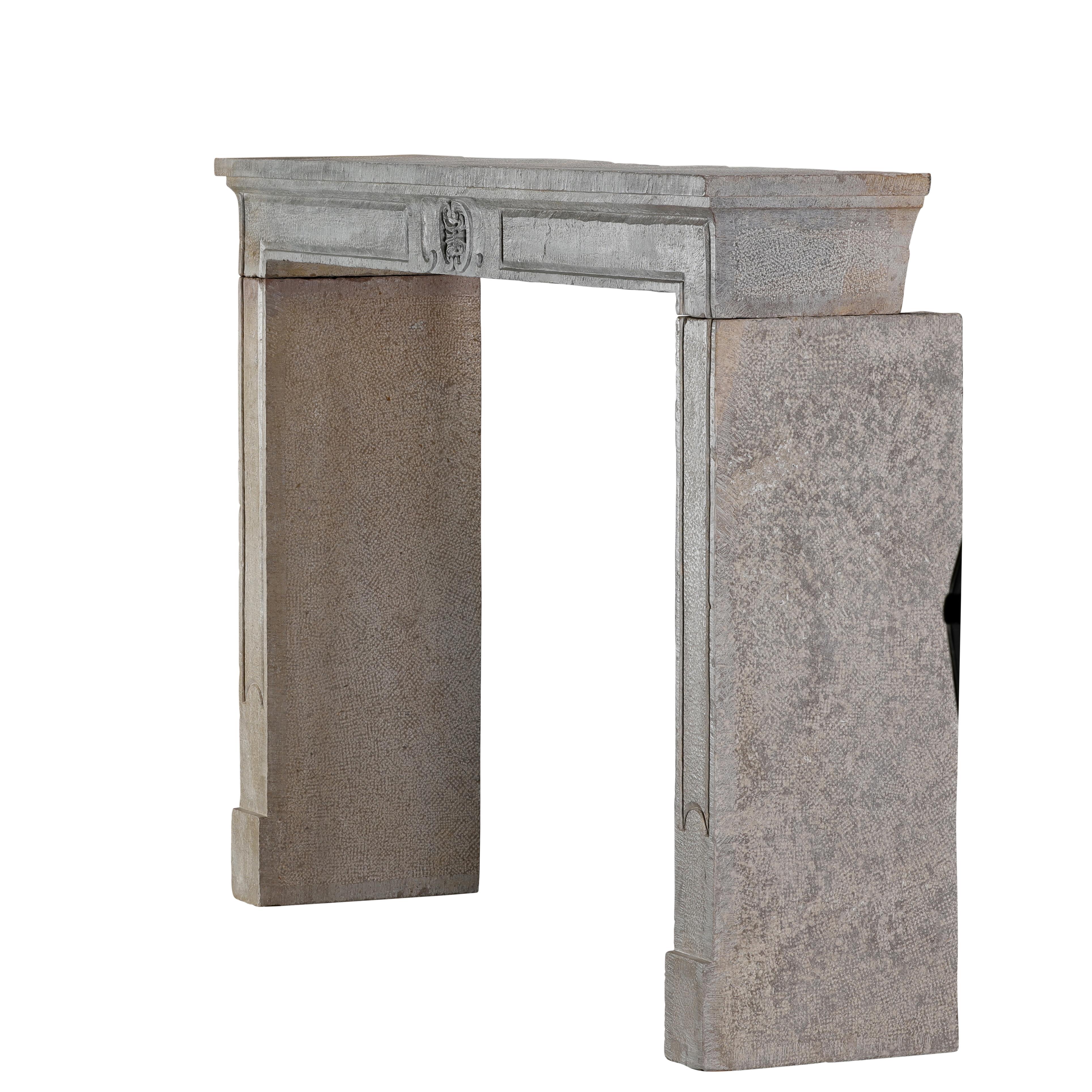 Interior ecléctico de mezcla moderna-histórica - Chimenea francesa de piedra del siglo XVIII en venta 5