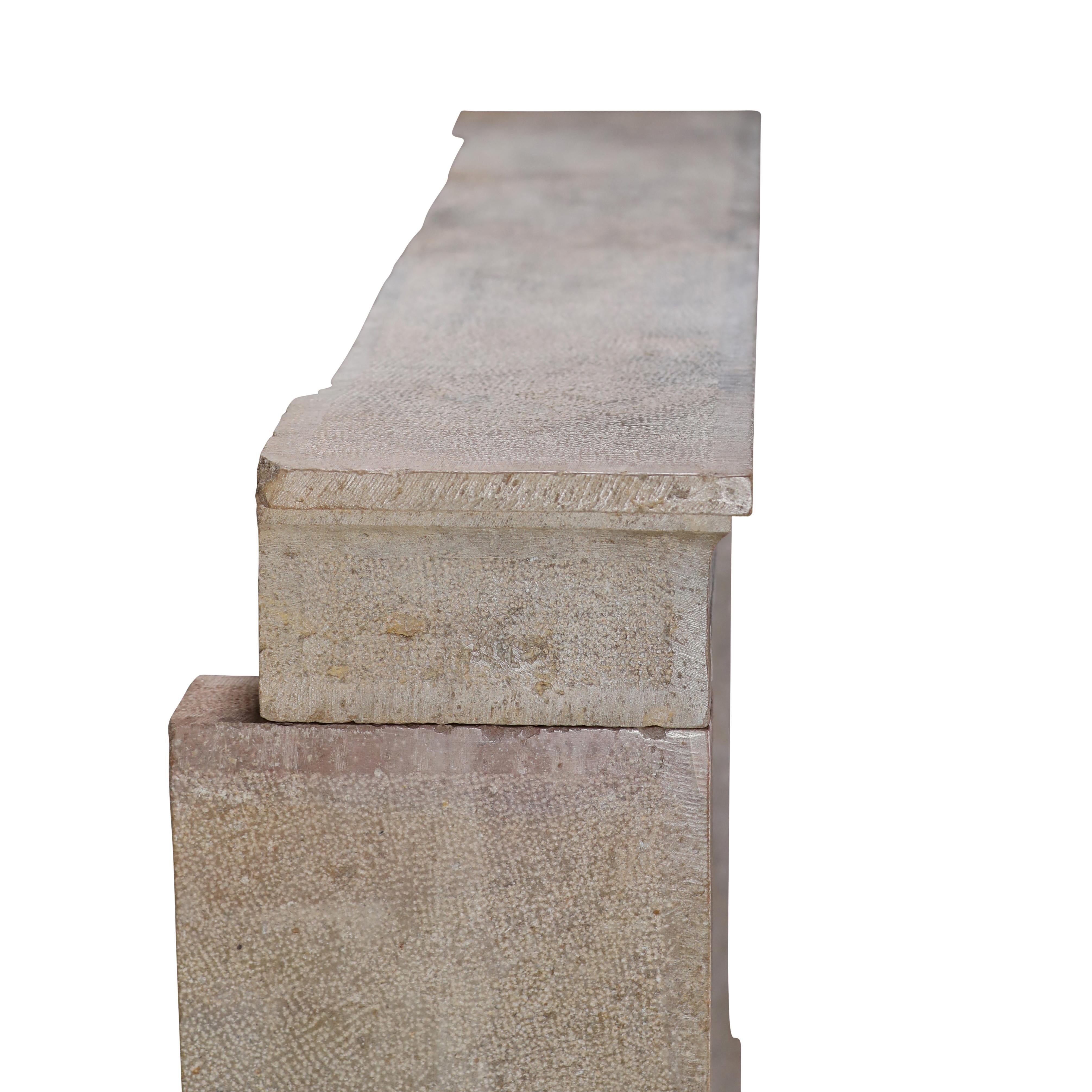 Interior ecléctico de mezcla moderna-histórica - Chimenea francesa de piedra del siglo XVIII en venta 12