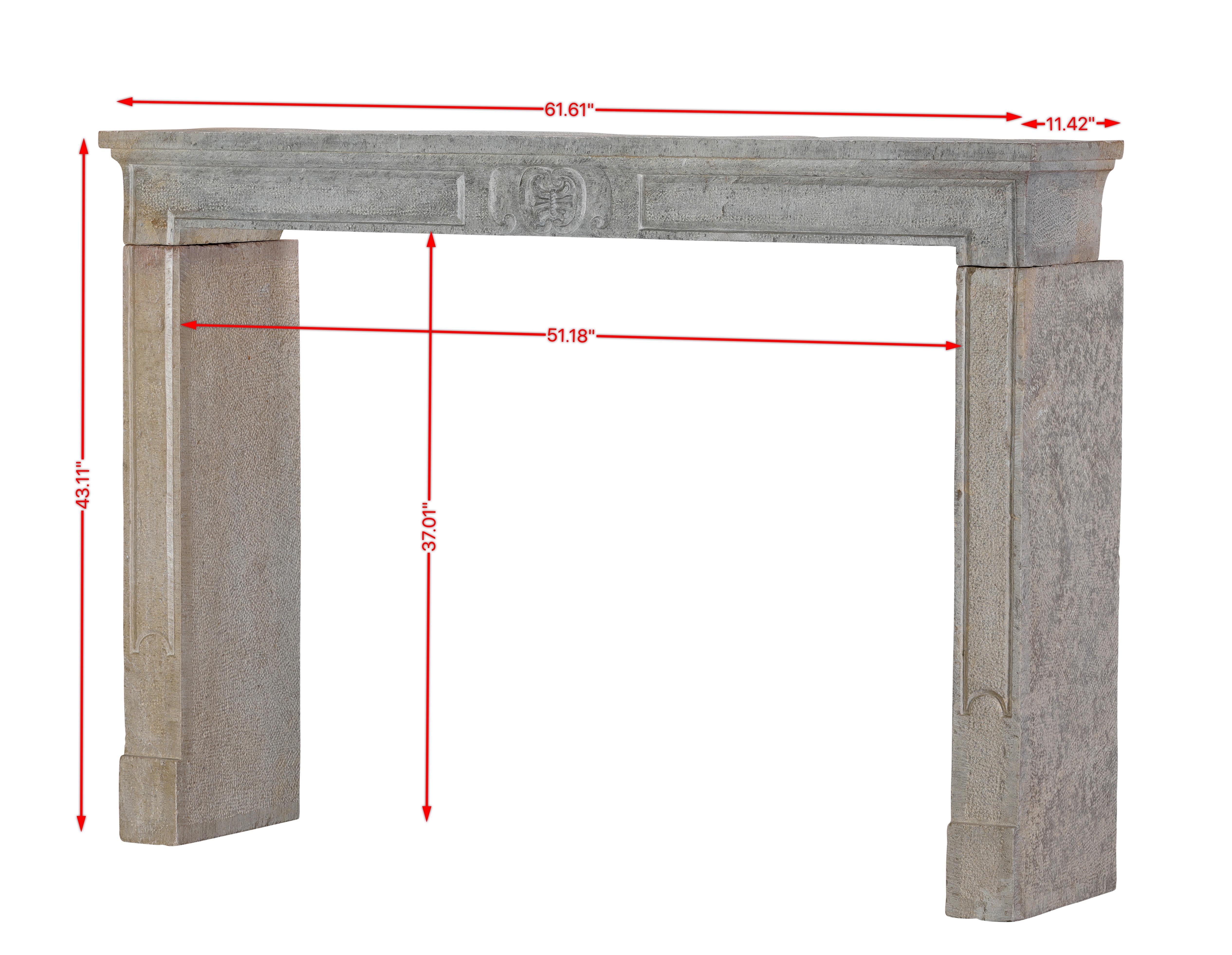 Interior ecléctico de mezcla moderna-histórica - Chimenea francesa de piedra del siglo XVIII Provincial francés en venta
