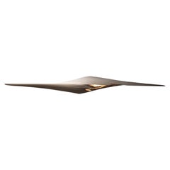Eclosion Wall Lamp by Tor Rothschild