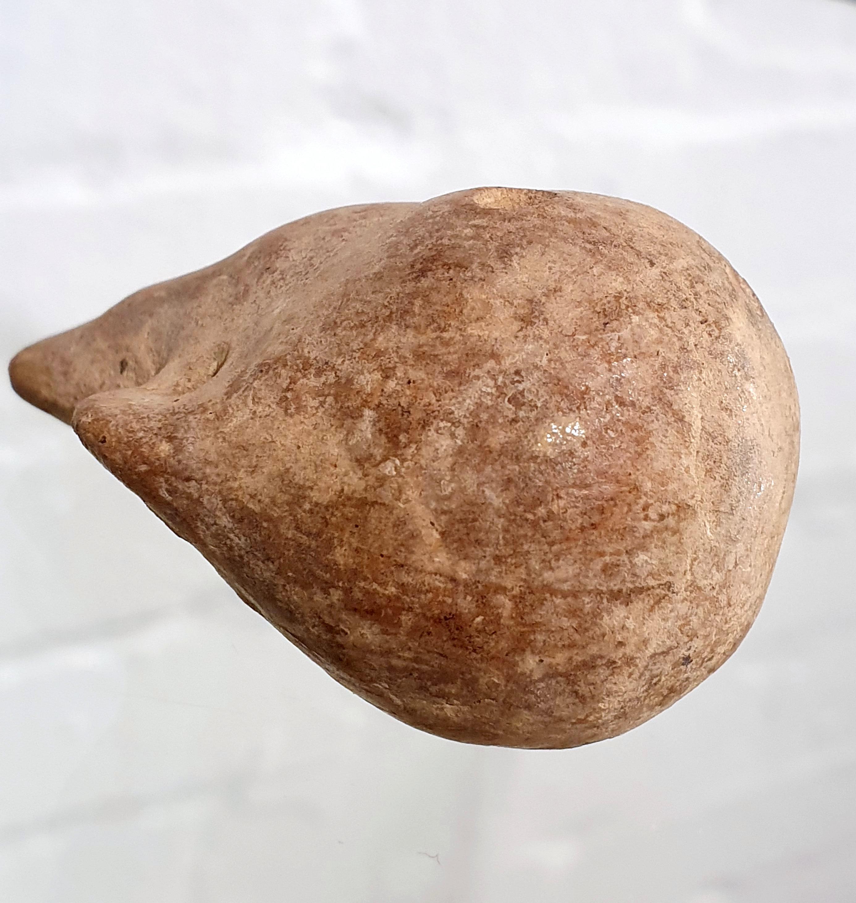 silvato de hueso