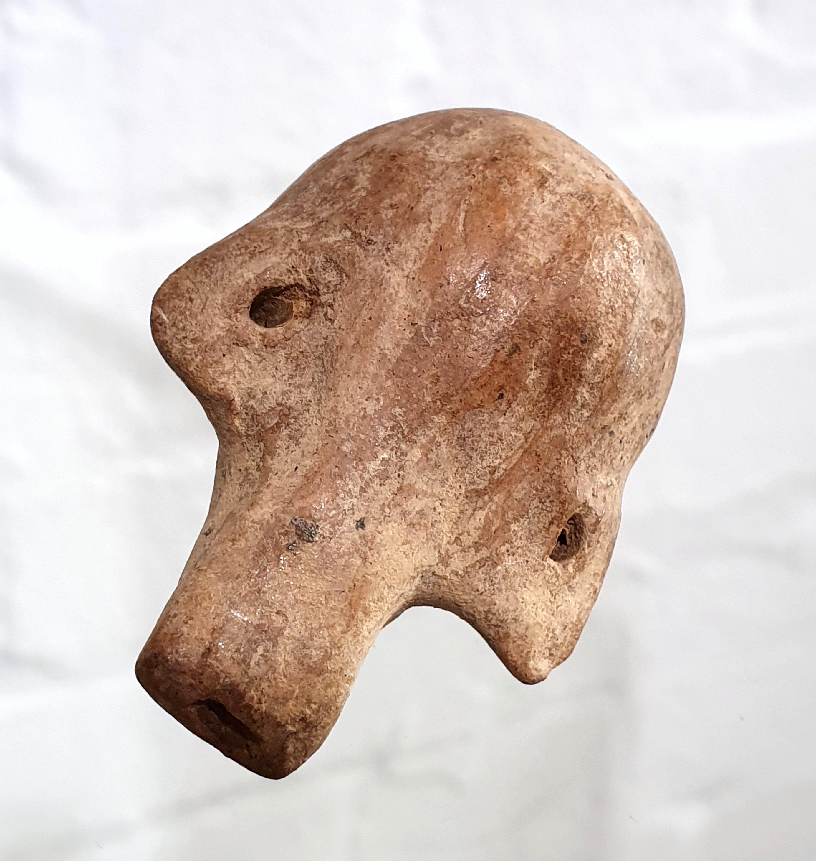 Geschnitzter schnitzter Totenkopf in Form eines Totenkopfs aus Ecuador im Zustand „Gut“ im Angebot in London, GB