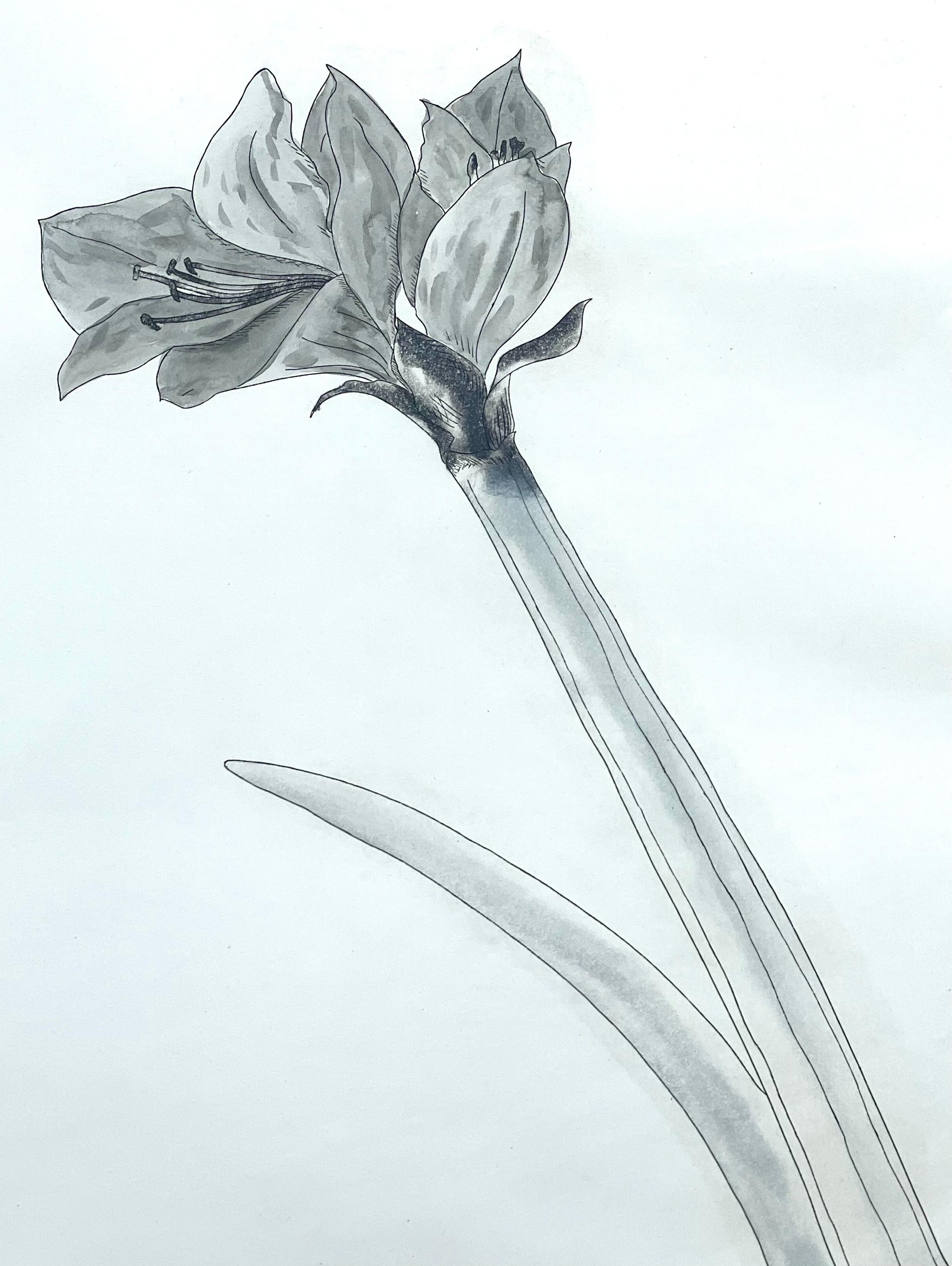 Minimalistische Zen-Blumen-Aquatinta-Radierung Amerikanische Moderne Ed Baynard Pop Art  im Angebot 1
